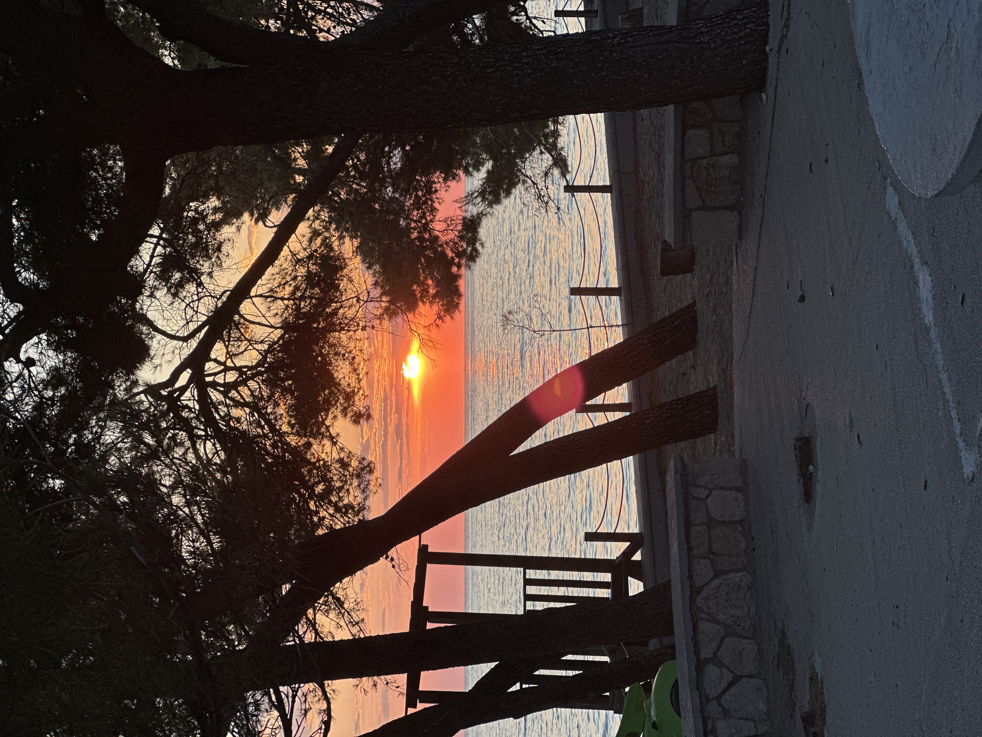 This image captures a serene coastal sunset, likely in Šušanj, Montenegro, framed by the dark silhouettes of numerous pine trees. The setting sun, a brilliant orange sphere, is positioned low on the horizon, casting a vivid red and orange glow across the sky and reflecting intensely on the calm sea waters.
The foreground is dominated by the dense, dark foliage and trunks of the pine trees, creating a natural frame for the dramatic sunset. Their branches crisscross the upper and left parts of the frame, with one prominent trunk extending diagonally from the mid-right into the center.
Beyond the trees, the sea stretches out, its surface shimmering with the warm hues of the sunset. Along the right side of the image, a man-made waterfront area is visible, featuring a structured stone wall and a simple wooden railing or fence that separates the land from the water. A concrete pathway or promenade runs parallel to the sea. A small portion of a green object, possibly a beach umbrella stand or chair, can be seen in the bottom right corner, partially hidden by a tree trunk.
The sky above the horizon transitions from deep reds and oranges near the sun to softer pinks and light blues higher up, with faint cloud patterns. A distinct lens flare is present near the center-right, emanating from the intense sunlight. The scene is devoid of people or visible text, emphasizing the natural beauty and tranquility of the moment. The overall impression is one of peaceful observation of a stunning natural phenomenon.