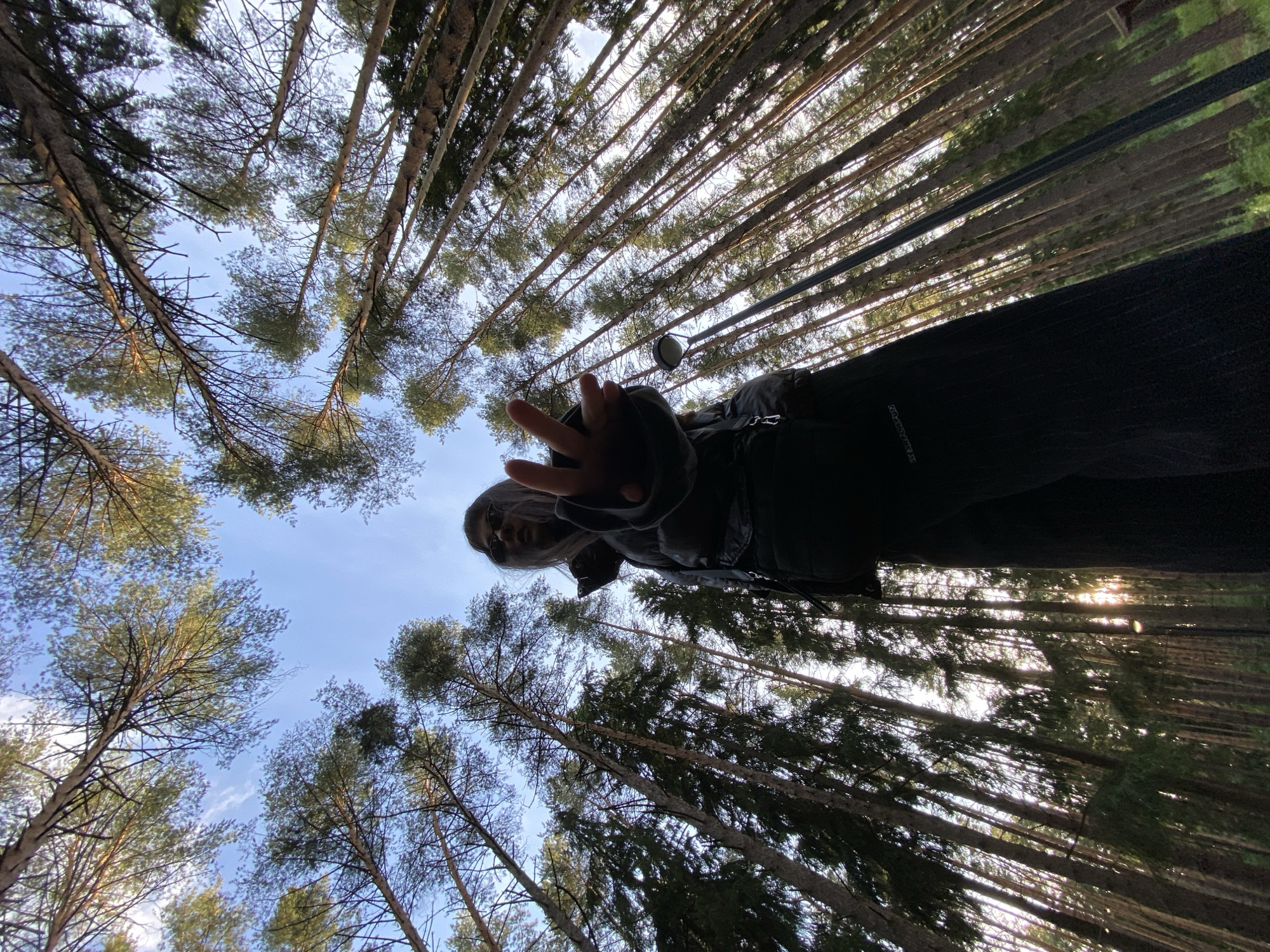A low-angle shot looking up through tall trees in a forest setting. The sky is visible between the trees. A person is in the foreground, appearing to hold up two fingers. The setting is possibly a forest near Votkinsk, Russia, given the query context, though no details in the image are distinctly recognizable as being in Votkinsk.
