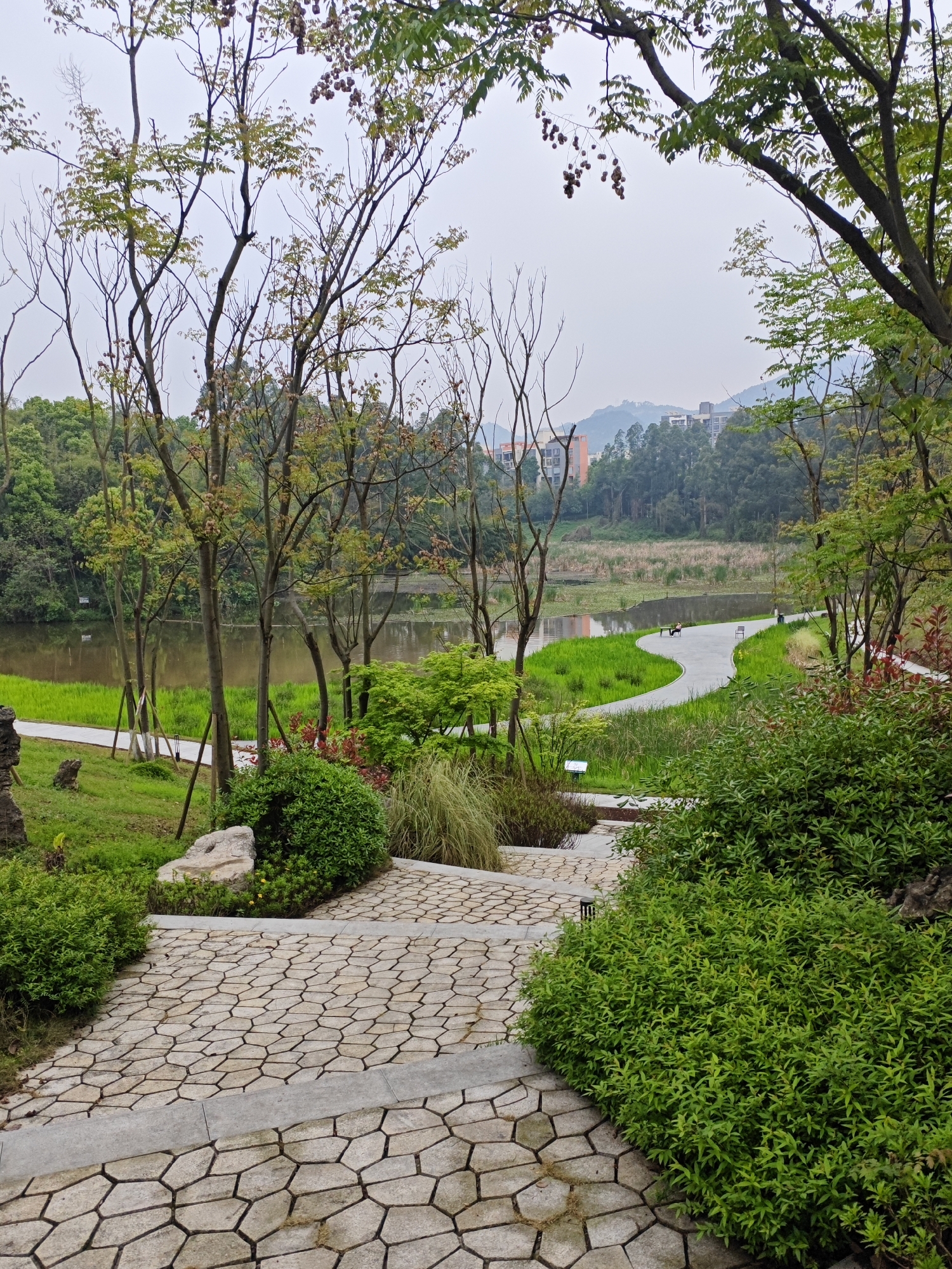 The image depicts a park landscape in Chongqing High-tech Zone, China. A paved walkway leads into the scene, constructed with irregularly shaped stones. Lush greenery lines the path, including bushes and small trees. A body of water, possibly a lake or pond, is visible through the trees. A walking path follows the perimeter of the water. Buildings can be seen on a distant hill. The sky appears overcast. There are no people visible in the immediate foreground.