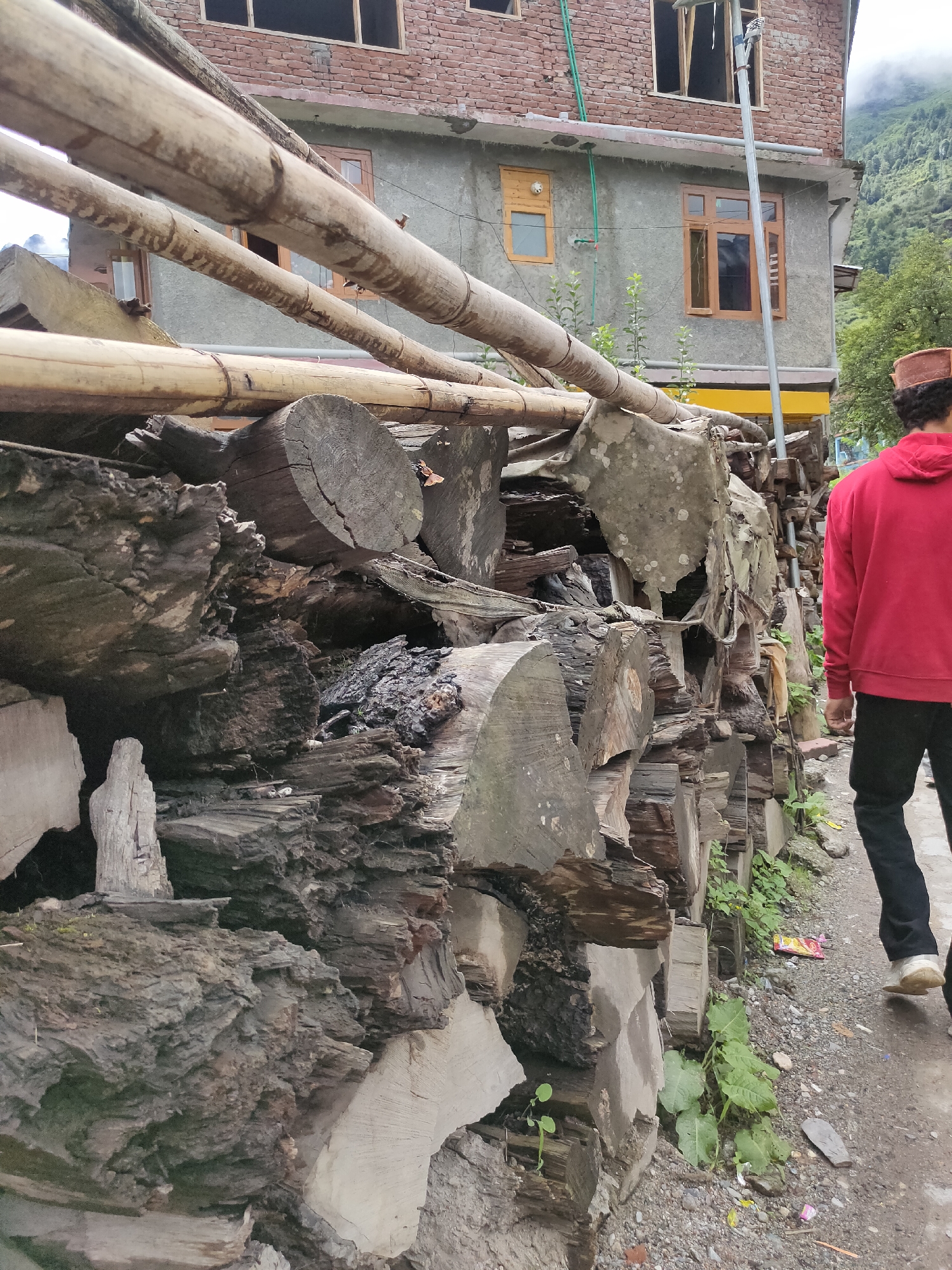In Burwa, India, a person wearing a red hoodie and a traditional cap walks past a wall constructed from stacked logs and bamboo. The wall is situated alongside a building with brick and concrete construction, featuring wooden-framed windows. Green plants grow in the crevices of the log wall and along the side of the dirt path. The scene appears to be outdoors, with a mountainous landscape visible in the background.