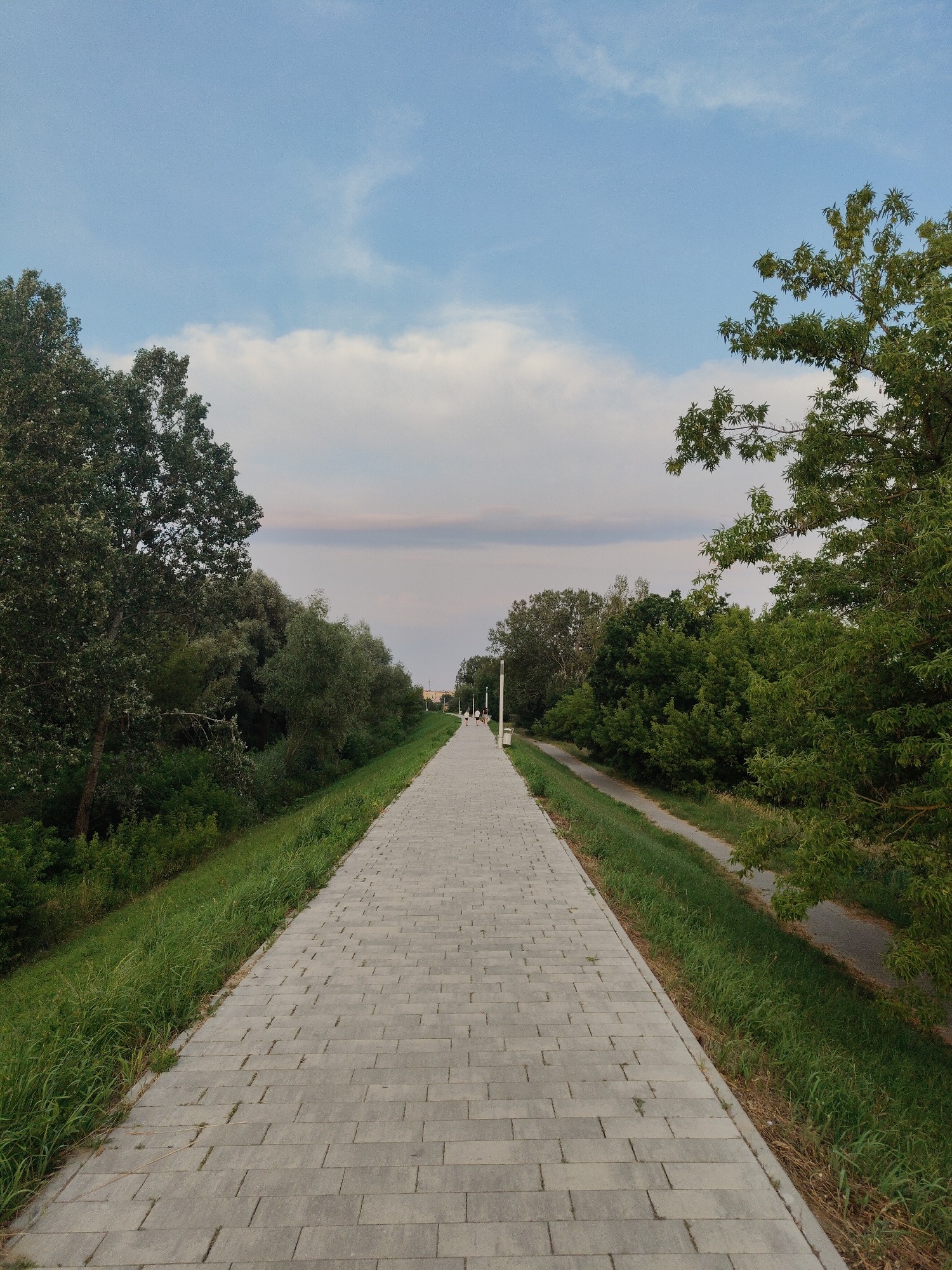 This is a vertical, eye-level, full shot of a long, paved walkway in Nowy Dwór Mazowiecki, Poland. The walkway is constructed of grey rectangular pavers and stretches into the distance, slightly curving to the left. On either side of the walkway are grassy slopes, with trees and dense foliage bordering the slopes. On the left, the trees are dense and dark green, forming a thick wall of vegetation. On the right, the trees are lighter green and more sparse, with some branches extending over the walkway.
In the far distance, a few people can be seen walking on the walkway. There are also streetlights positioned periodically along the path. A smaller, unpaved path runs parallel to the walkway on the right side, bordered by grass. The sky above is a light blue with scattered white clouds, some of which are tinged with pink and orange, suggesting it might be late afternoon or early evening. The overall mood is peaceful and serene, with a sense of calm and open space. There is no visible text in the image.