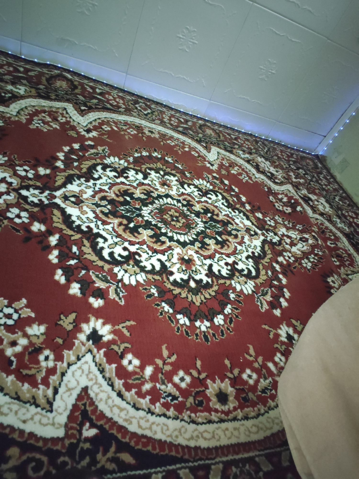 The image shows a close-up of a large, red carpet with an intricate floral pattern. The carpet has a border with white, black, and gold accents. The ceiling above the carpet is white with a textured pattern of squares and small flower designs. A string of small blue LED lights is visible along the edge where the carpet meets the ceiling. A portion of a light-skinned person's arm or leg is visible on the right side of the image, covered by a light-colored fabric. The setting appears to be an indoor residential space in the village of Obsharovka, Russia.