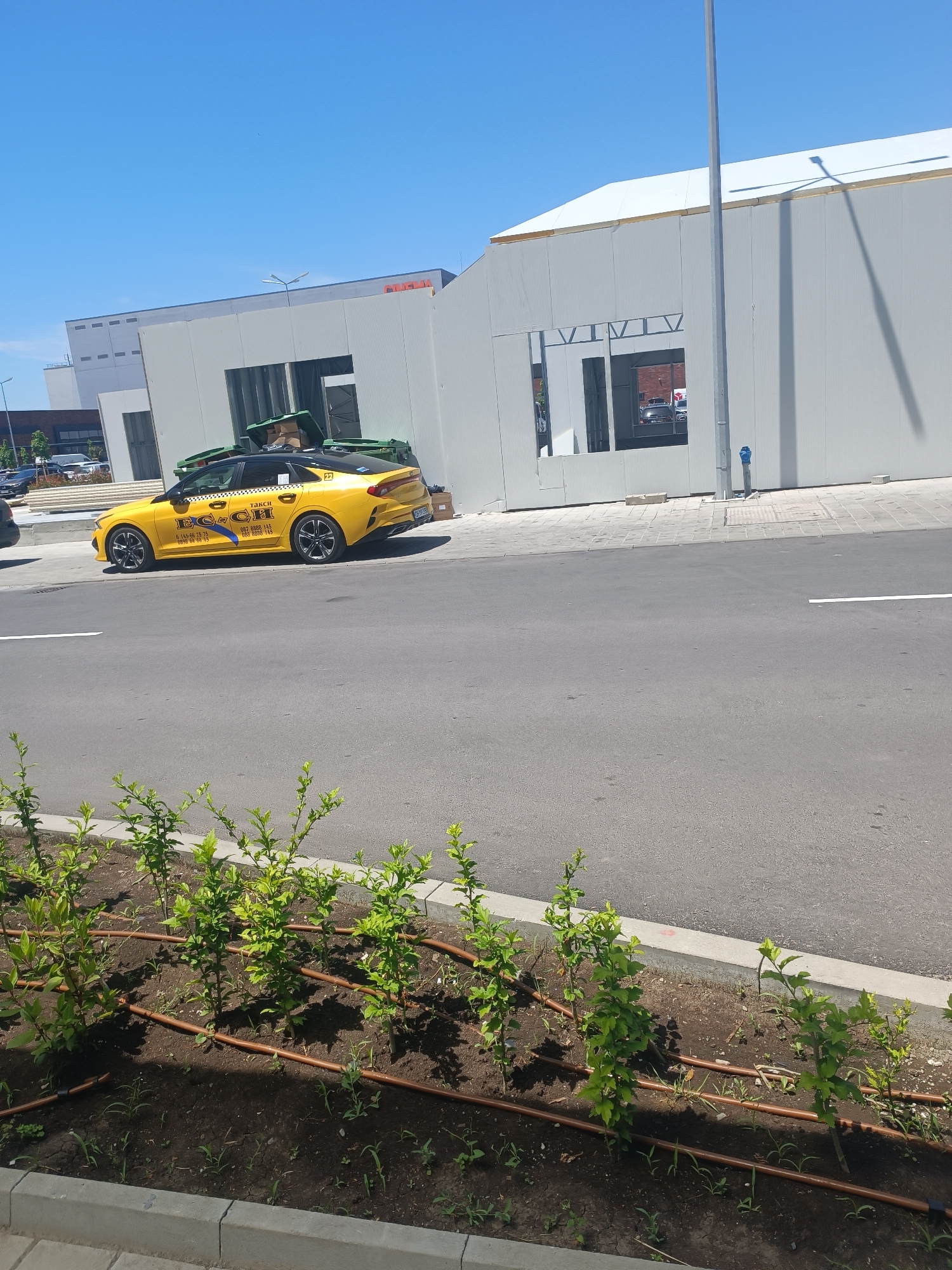 The image depicts a street scene in Burgas, Bulgaria, on a clear, sunny day. In the foreground, a row of young, green plants with a drip irrigation system is planted in dark soil, bordered by a concrete curb. A paved road runs horizontally across the middle of the image, with a white lane marker visible.
Dominating the mid-ground is a yellow taxi, identified as "EG-CH TAXXI" with phone numbers displayed. The taxi has a black roof and rims, and two green dumpsters are visible behind it. The taxi is parked next to a modern, light-colored building under construction, which features large, open window-like structures. The building appears to be a commercial or industrial facility, with parts of its roof covered in white sheeting. A street light with a shadow is prominent on the right side of the building. Further back, other buildings and parked cars can be seen. The sky is a vibrant, cloudless blue.