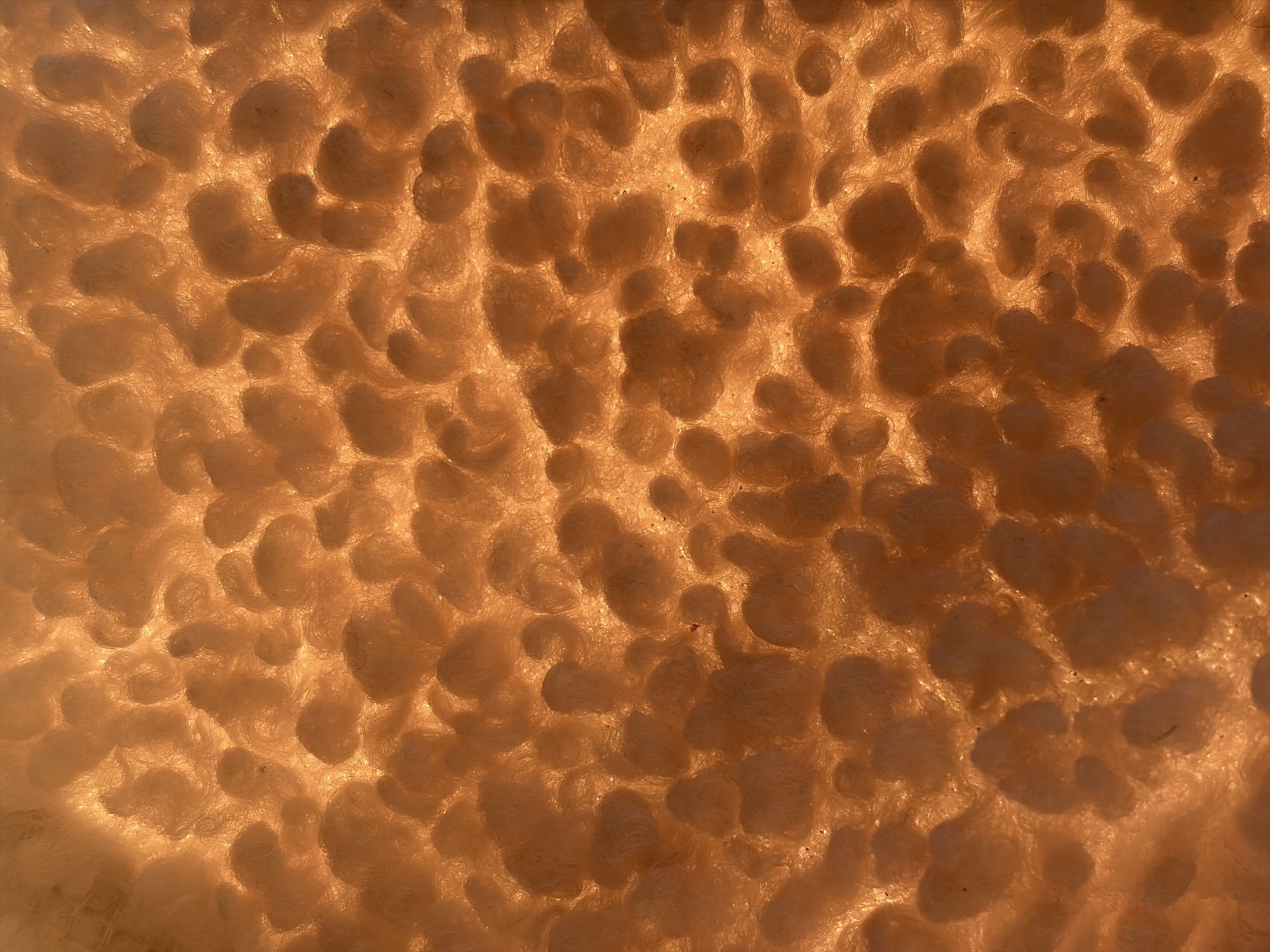 A close-up, backlit view of a textured material, possibly fleece or a similar fluffy fabric, is shown. The material is composed of numerous small, rounded, cloud-like formations that create a bumpy and irregular surface. The lighting from behind the fabric causes it to glow with a warm, amber hue, highlighting the texture and making the individual fibers visible. The background is entirely filled with this textured material, with no discernible environmental context or setting. There are no people, objects, or actions depicted in the image. The provided crops offer slightly different perspectives of the same textured surface, emphasizing the scale and detail of the formations. The image is devoid of any information that could associate it with Vidogoshchi, Russia, or any other specific location.