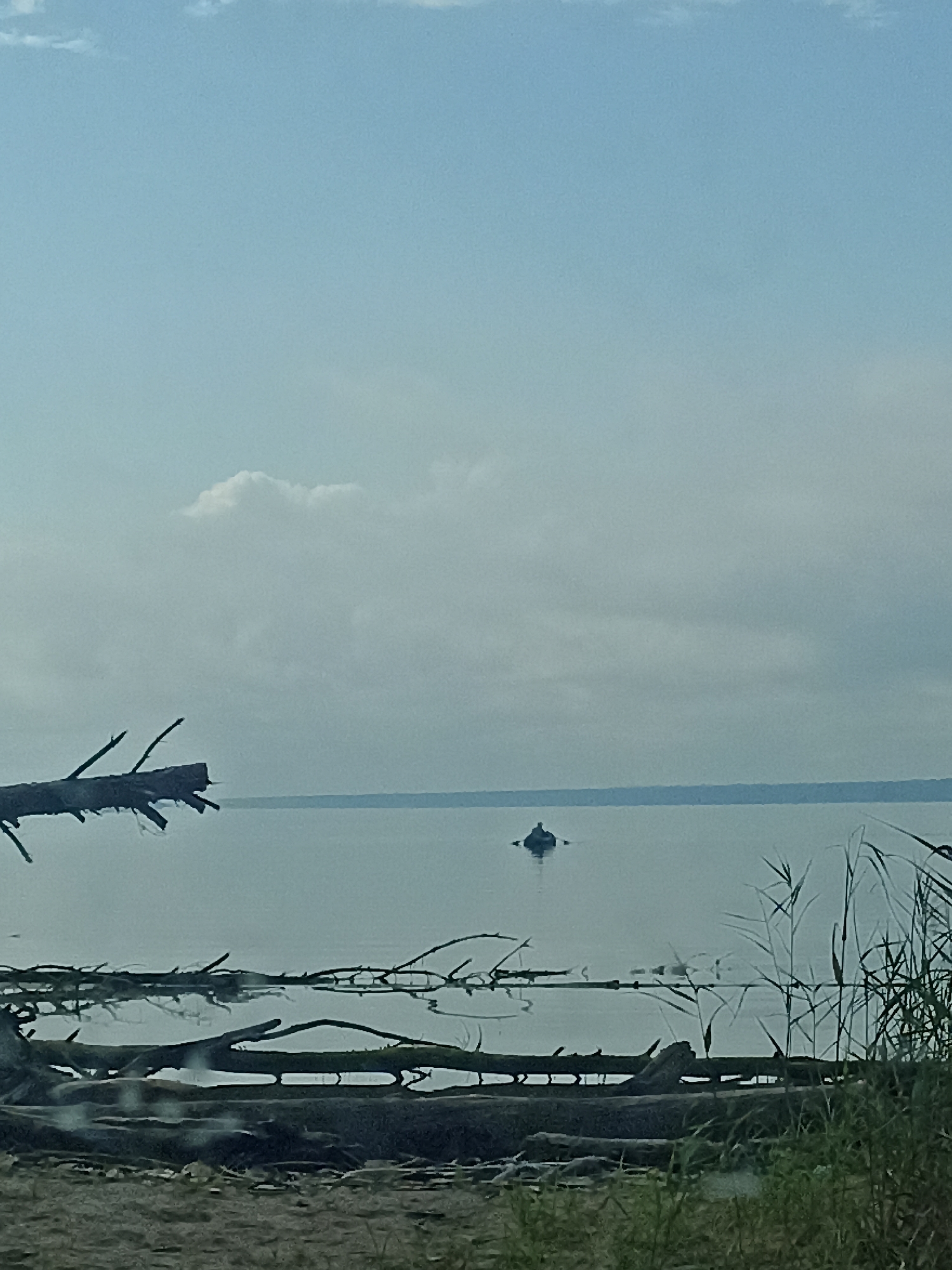 The image shows a wide shot of a calm body of water, likely a lake or large river, under a hazy sky with scattered clouds. In the foreground, there are several dead tree branches and driftwood scattered along the shoreline. Some tall grasses are visible on the right side of the frame. In the middle distance, there is a person sitting in a small boat or raft, appearing to be fishing or observing the water. The background shows a distant shoreline. The scene depicts a serene, natural environment. This location is identified as Zavyalovo, Russia.