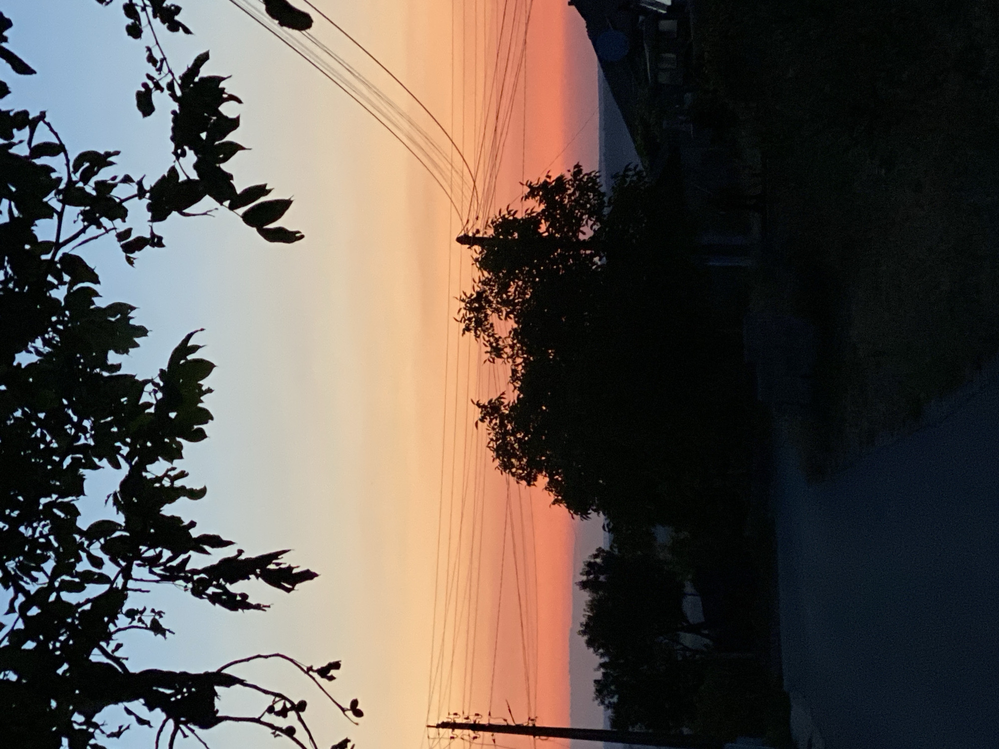 The image depicts a twilight scene in Cairaclia, Moldova, with the sky transitioning from a pale blue at the top to vibrant shades of orange and pink near the horizon. Silhouetted against the colorful sky are the branches of a deciduous tree in the foreground, its leaves a dark mass. Below the sky, a landscape is visible, characterized by dark silhouettes of trees and vegetation, and a road leading into the scene. Utility poles with power lines stretch across the mid-ground, their dark forms stark against the bright sky. In the distance, hints of buildings with dark roofs can be discerned. The overall atmosphere is serene and calm, capturing the fleeting beauty of the setting sun.