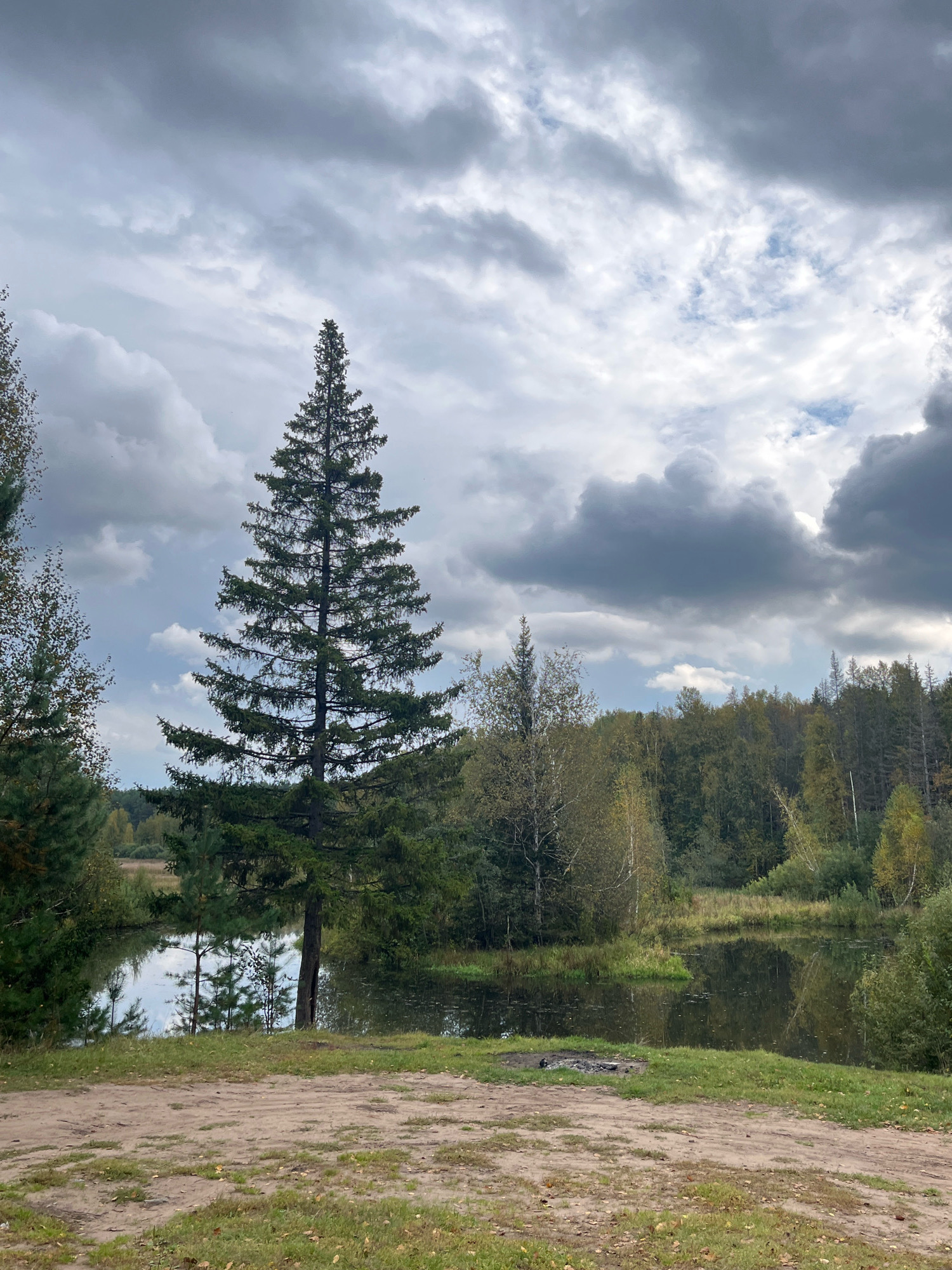 The image shows a natural landscape scene with a large evergreen tree in the foreground, positioned to the left of the center. Behind the tree is a body of water reflecting the overcast sky and the surrounding trees. The sky is filled with dark, dramatic clouds. A dense forest with a mix of evergreen and deciduous trees borders the water's edge. The ground in the immediate foreground is a dirt path with patches of grass and fallen leaves. The scene depicts an outdoor environment that appears to be a rural or natural park area. The location is identified as a lake in Chaikovsky, Russia.