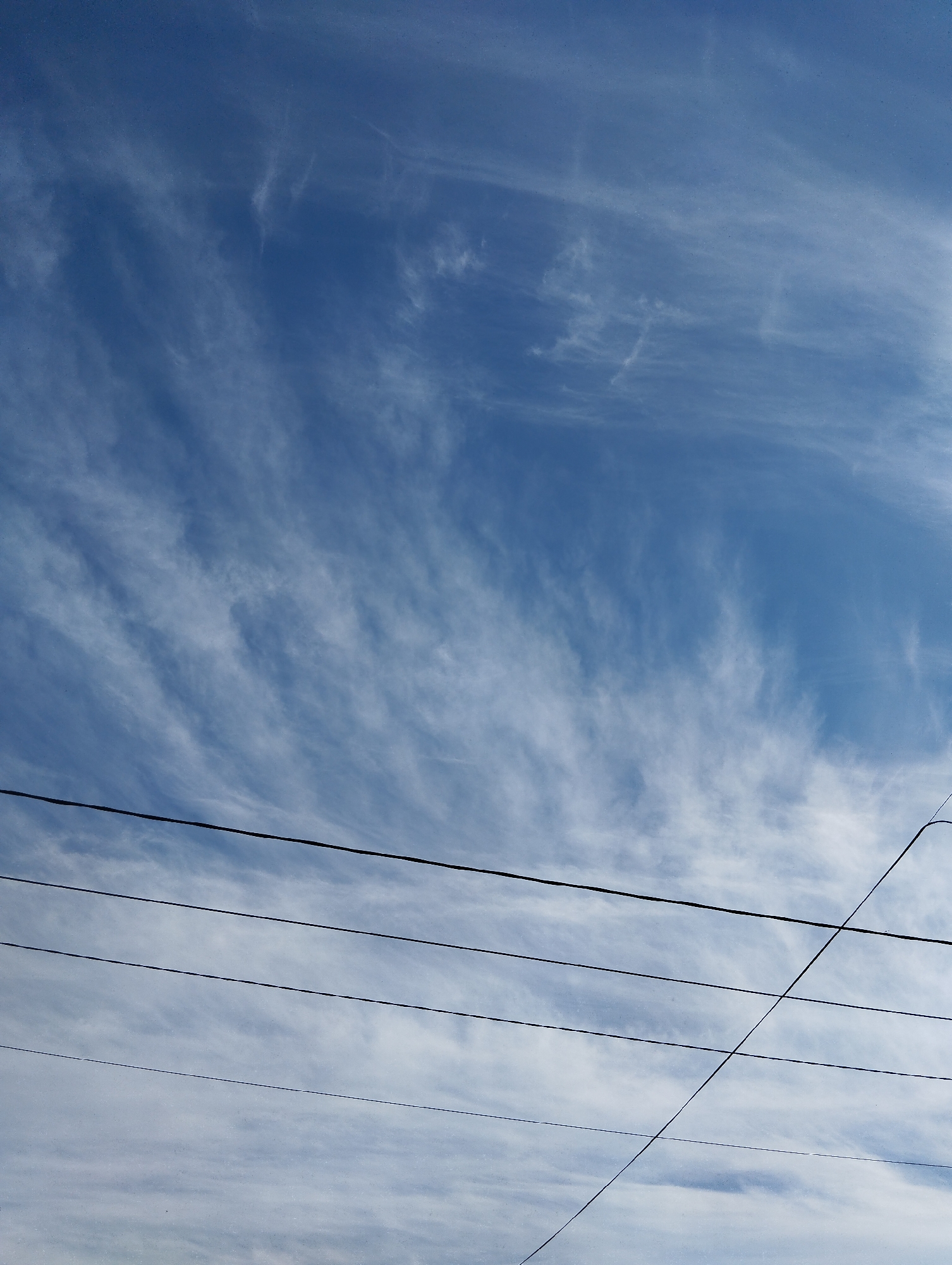 In the city of Unknown, Unknown, this image captures a wide shot of a sky filled with wispy white clouds against a backdrop of blue. The clouds appear thin and streaky, suggesting a high altitude or windy conditions. Several dark, thin power lines are prominently stretched across the lower portion of the frame, some running horizontally and one diagonally. These lines create a linear pattern that contrasts with the organic shapes of the clouds. The overall impression is one of an urban sky, where natural elements like clouds are juxtaposed with man-made infrastructure. There are no people, animals, or specific landmarks visible in the scene.