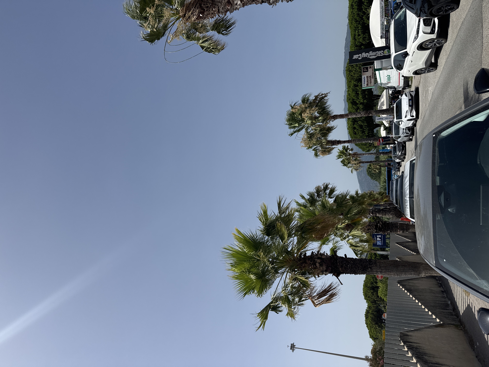 A street scene in Lamezia Terme, Italy, depicts a clear blue sky above a row of palm trees lining a road. Several cars are visible, suggesting a traffic situation or a parking area. White tents and banners are set up in the background, indicating a possible event or fair. A sign with "P1" is also visible, possibly denoting parking zone one. The image captures a bright, sunny day.