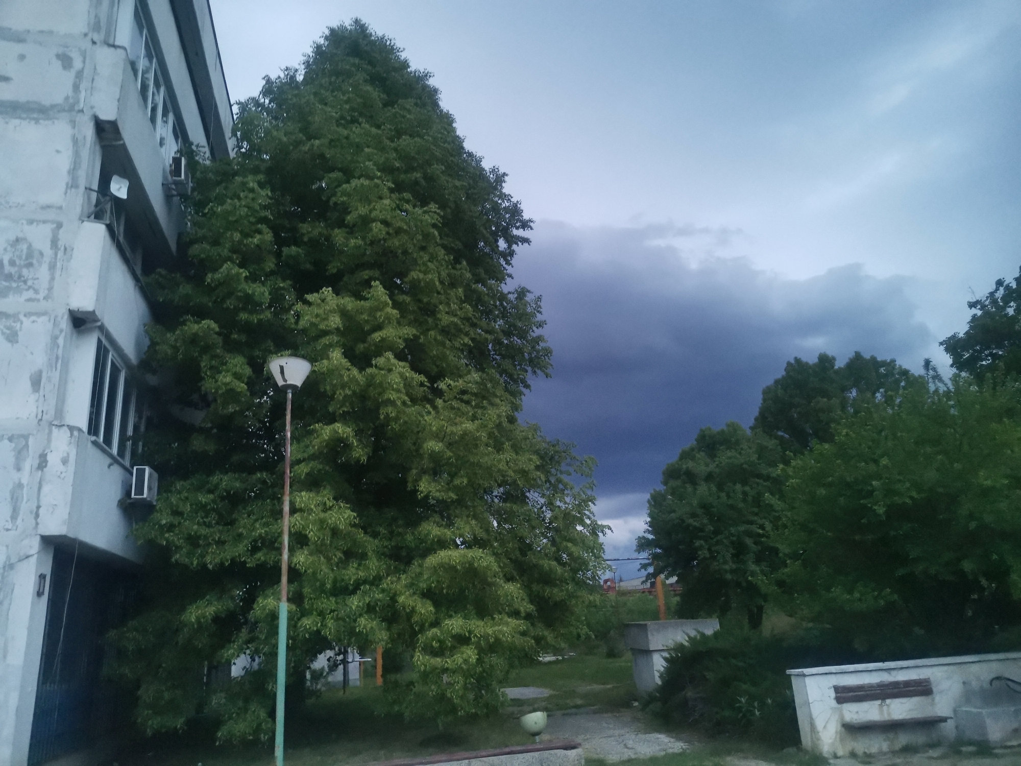 The image presents an outdoor scene dominated by a multi-story, weathered concrete building on the left and dense green foliage on the right, all set against a dramatic, cloudy sky.
The building, possibly an apartment complex, features multiple windows and exhibits signs of age with discoloration and peeling paint on its facade. Several air conditioning units are mounted beneath windows, and a small white satellite dish or antenna is attached to the upper section of the building.
A large, verdant tree with abundant leaves occupies the central and right portions of the foreground, partially obscuring the sky and elements in the background. Other trees and bushes are visible further back, contributing to the natural surroundings. A slender street lamp with a faded green and brown pole and a white lamp head stands in the mid-ground.
The sky is a prominent feature, characterized by heavy, dark grey and purplish clouds in the lower and mid-sections, contrasting with lighter blue-grey areas higher up. This suggests an overcast day, possibly indicating an approaching storm or late evening.
The ground consists of grassy areas, some patches of dirt, and paved or concrete surfaces. In the background on the right, two concrete structures are discernible: a rectangular block and a longer bench with wooden slats, likely a public seating area, adjacent to what appears to be a small fountain or tap. A small, light green, bowl-shaped object rests on the ground near the street lamp.
There are no people or discernible activities taking place. The scene is static, capturing a moment of an urban or suburban landscape. The moody atmosphere is enhanced by the heavy cloud cover. No visible text is present in the image. The architectural style and public amenities are consistent with a setting like Zhivkovo, Bulgaria.
