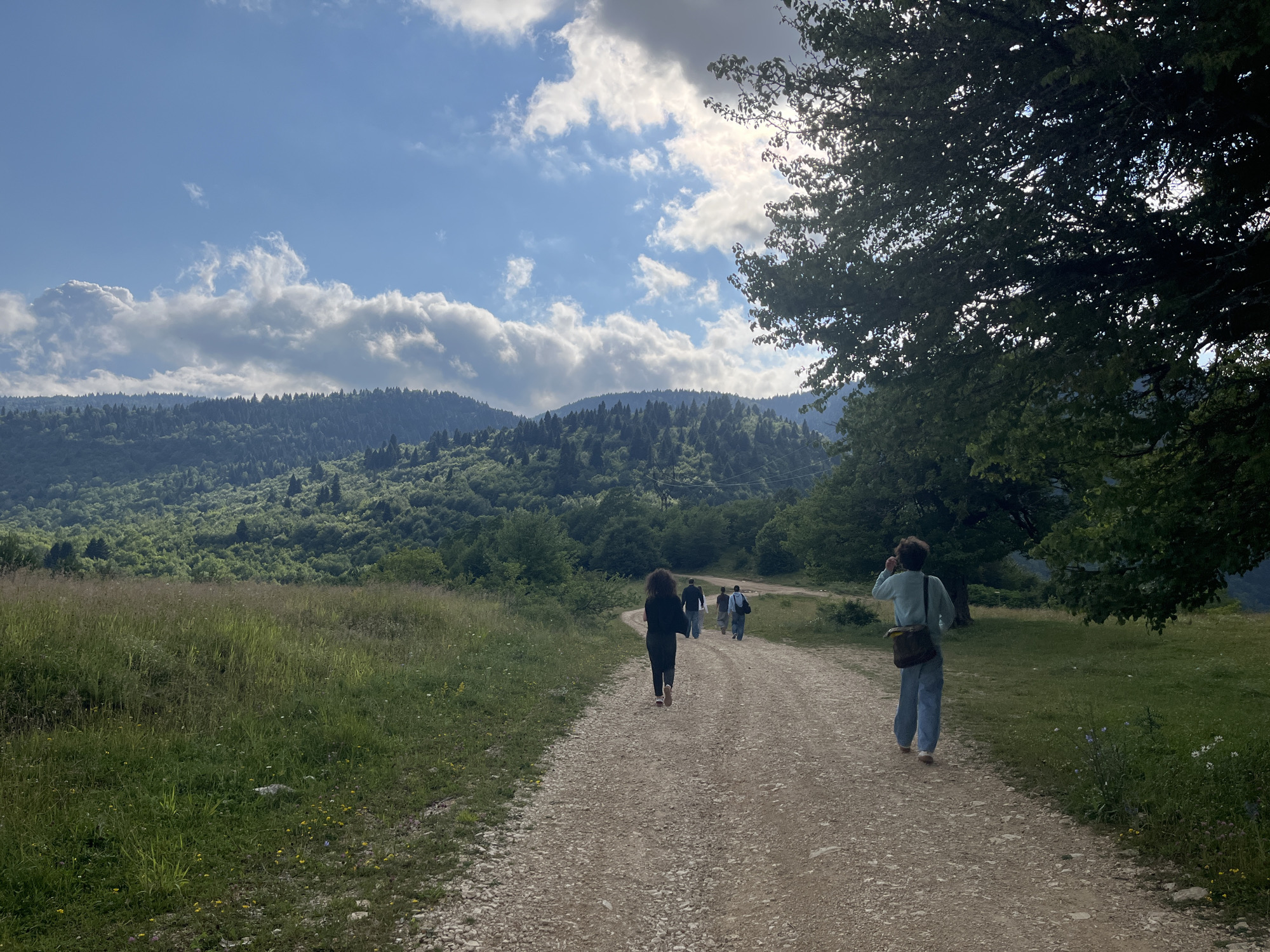 A group of people are walking along a dirt road that curves through a grassy meadow and leads towards a densely forested mountainside. The sky is a bright blue with scattered white clouds, suggesting it is daytime, likely late morning or early afternoon. Sunlight filters through the leaves of a large tree on the right side of the frame, casting dappled shadows on the road and surrounding grass. The mountains in the background are covered with a mix of evergreen and deciduous trees, indicating a temperate climate and a natural, undeveloped landscape.
The people, viewed from behind, appear to be casually dressed for an outdoor excursion. One person in the foreground is wearing a light blue long-sleeved shirt and jeans, with a messenger bag slung over their shoulder. Another person ahead of them is wearing dark clothing. The overall mood is relaxed and peaceful, suggesting a leisurely walk or hike. The location appears to be a rural or mountainous area, possibly a park or nature reserve, given the natural scenery and the presence of a walking trail. The lush greenery of the meadow and the verdant mountainside point towards a season of growth, likely spring or summer.