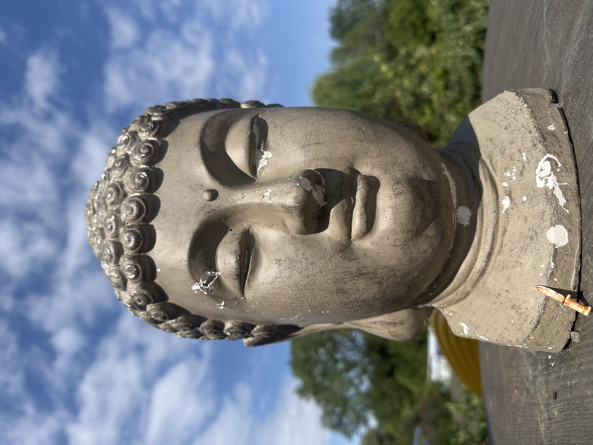 A close-up, head-on shot captures a weathered, concrete bust of Buddha resting on a dark wooden surface. The bust is a neutral grey with chipped white paint scattered across its surface, particularly around the forehead, nose, and base. The Buddha's eyes are closed, and its expression is serene. Behind the bust, a blurred background reveals lush green trees and a bright blue sky dotted with white, fluffy clouds. A small, toy knife with an orange handle and a white blade is stuck upright in the wooden surface at the base of the bust on the right side of the frame. The lighting suggests it is daytime and outdoors. The image does not depict any specific identifiable landmarks in Lelystad, Netherlands, but rather a general outdoor setting.