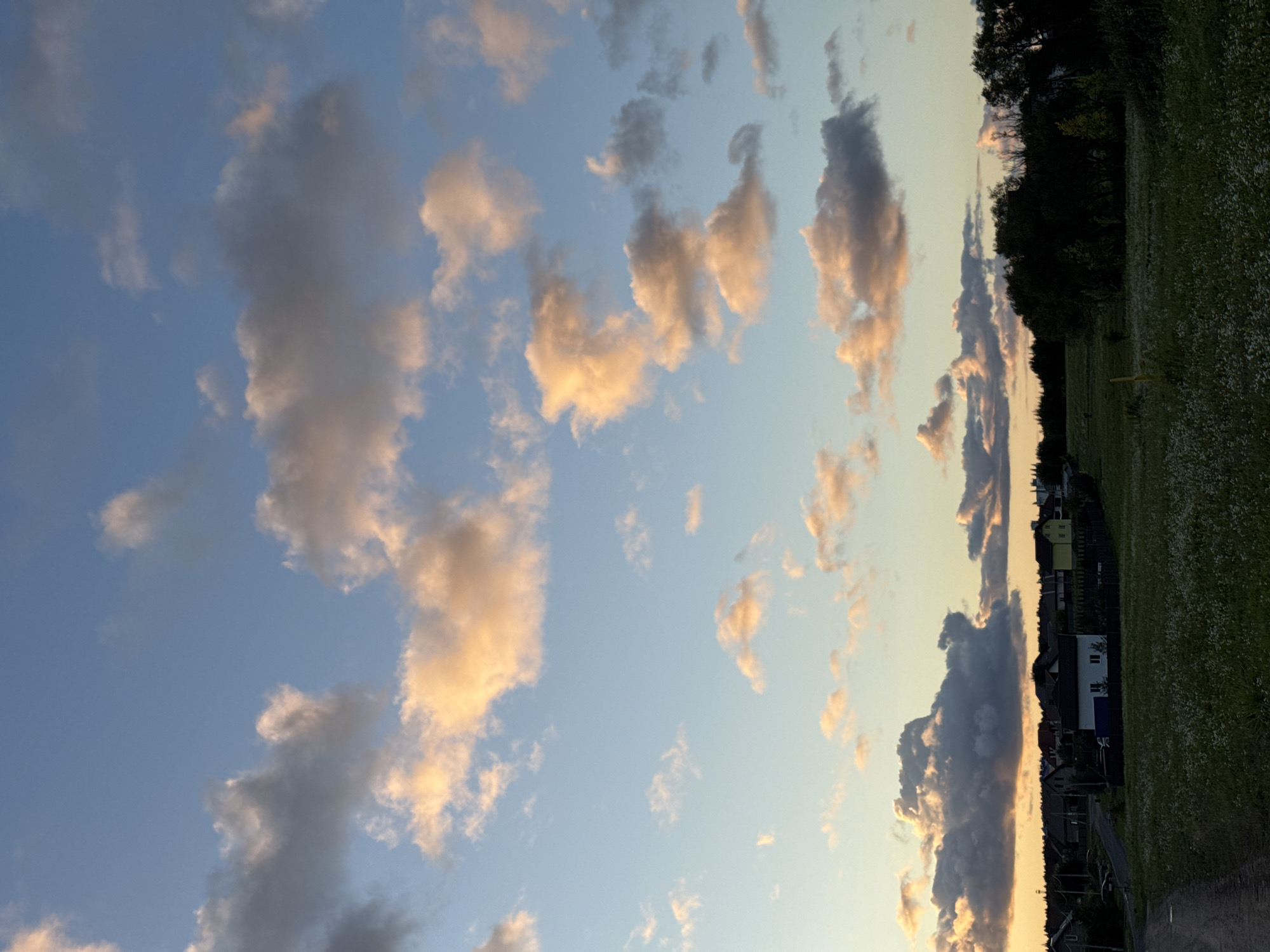 This image depicts a rural landscape, likely within the Бараўлянскі сельскі Савет, Belarus, during the twilight hours. The sky is a blend of pale blue and orange, with scattered clouds catching the warm light of the setting sun. In the middle ground, a cluster of houses with various roof colors, including white, yellow, and red, are visible behind a dark line of trees. A grassy field dotted with small white flowers occupies the foreground, and a dirt path leads into the scene from the left. The overall impression is one of a quiet, pastoral evening.