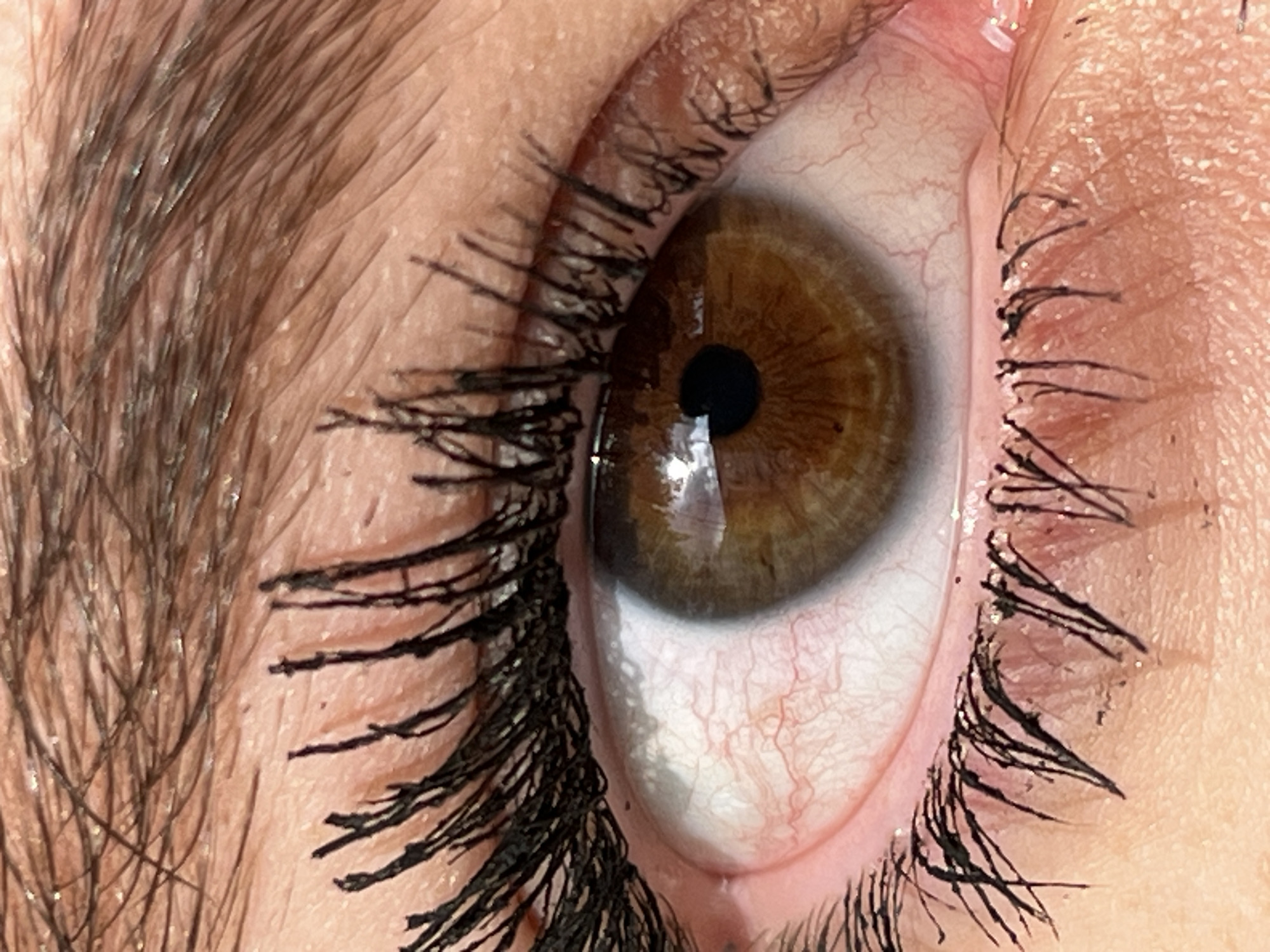 A close-up image of a human eye, specifically the left eye, is presented. The iris is brown with a darker pupil at the center. The sclera appears bloodshot with visible veins. Eyelashes are coated with black mascara, appearing clumpy on both the upper and lower lids. The eyebrow is also visible, consisting of dark, thick hairs. The image does not include information to suggest a location in the city of San Bernardino Tlaxcalancingo, Mexico.