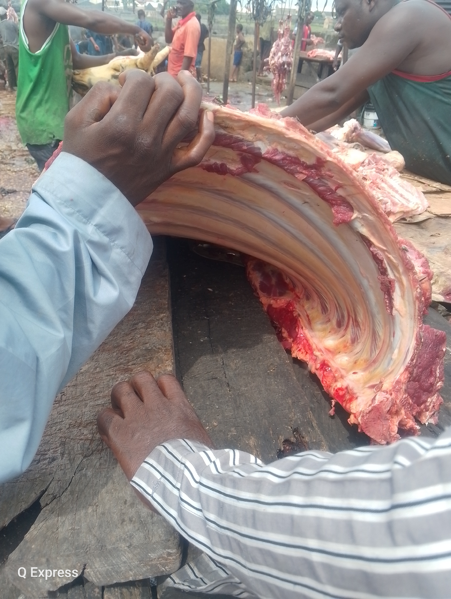 The image depicts a scene at a butcher shop in Sabojibi, Nigeria. In the foreground, two individuals are actively engaged with a large cut of meat, likely a cow carcass. One person, wearing a light blue long-sleeved shirt, is holding onto the meat from the left side with their left hand. Their right hand is obscured. The other person, in the lower right, is wearing a striped shirt and has their right hand placed on a wooden surface. The cut of meat is substantial, showing ribs and a considerable amount of flesh. In the background, other people are visible, some attending to carcasses hanging on hooks and others involved in the butchering process. The environment appears to be an open-air market or a similar outdoor setting, with a dusty ground and rudimentary structures in the distance. The overall impression is that of a busy, operational butchery.