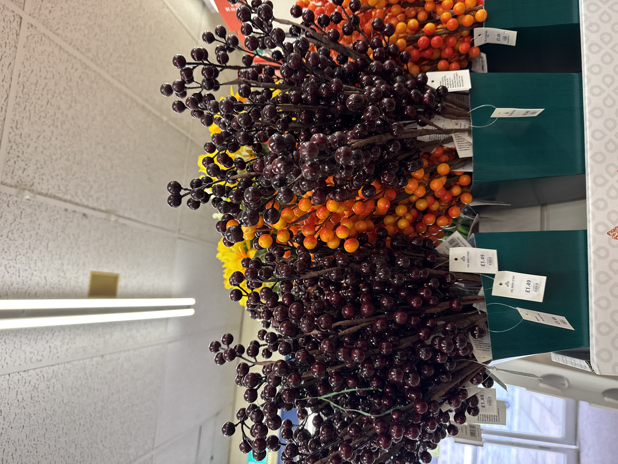 The image shows a close-up view of artificial berry stems displayed in retail containers. The stems are primarily dark purple and orange, with some yellow stems visible in the background, suggesting a seasonal display. Each stem is adorned with numerous small, round berries. Several white tags with pricing information are attached to the stems, with one tag clearly showing "£1.49". The stems are arranged in dark green, rectangular containers. The background consists of a textured ceiling with fluorescent lighting, and a blurry glimpse of what appears to be a shop interior. The specific location in Darlington, United Kingdom, cannot be determined from the image alone.