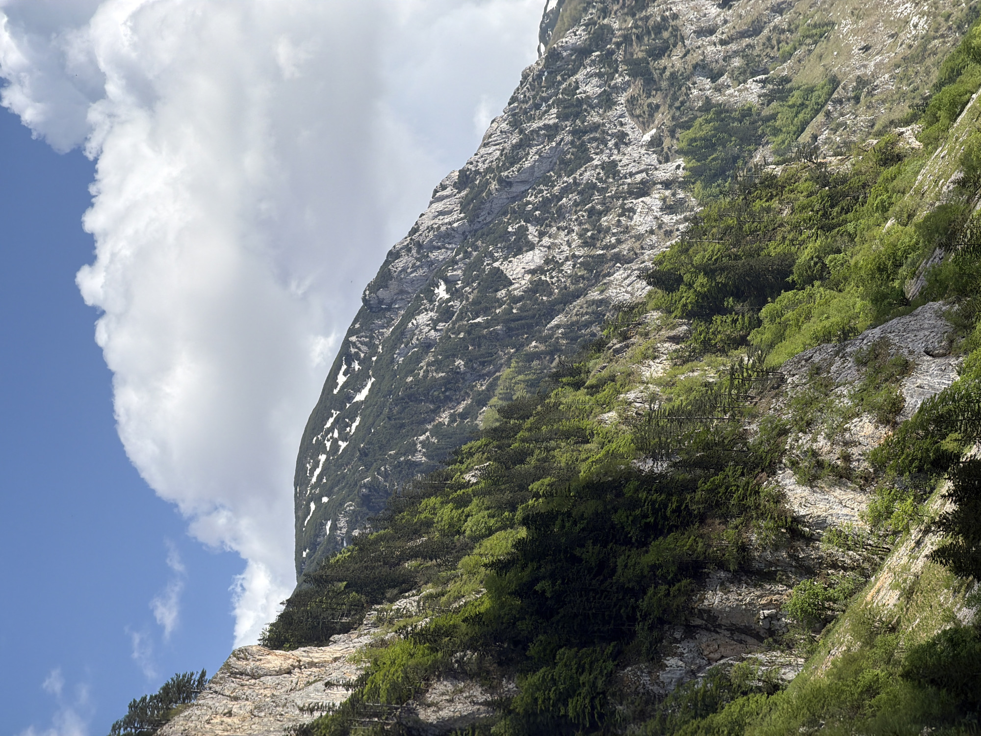 The image depicts a steep mountainside under a sky with scattered clouds, located in Pluzine, Montenegro. The mountainside is primarily rocky with patches of vegetation, consisting of trees and shrubs. Higher elevations show traces of snow. The sky is blue with puffy white clouds that partially obscure the mountain peak. No people are visible.