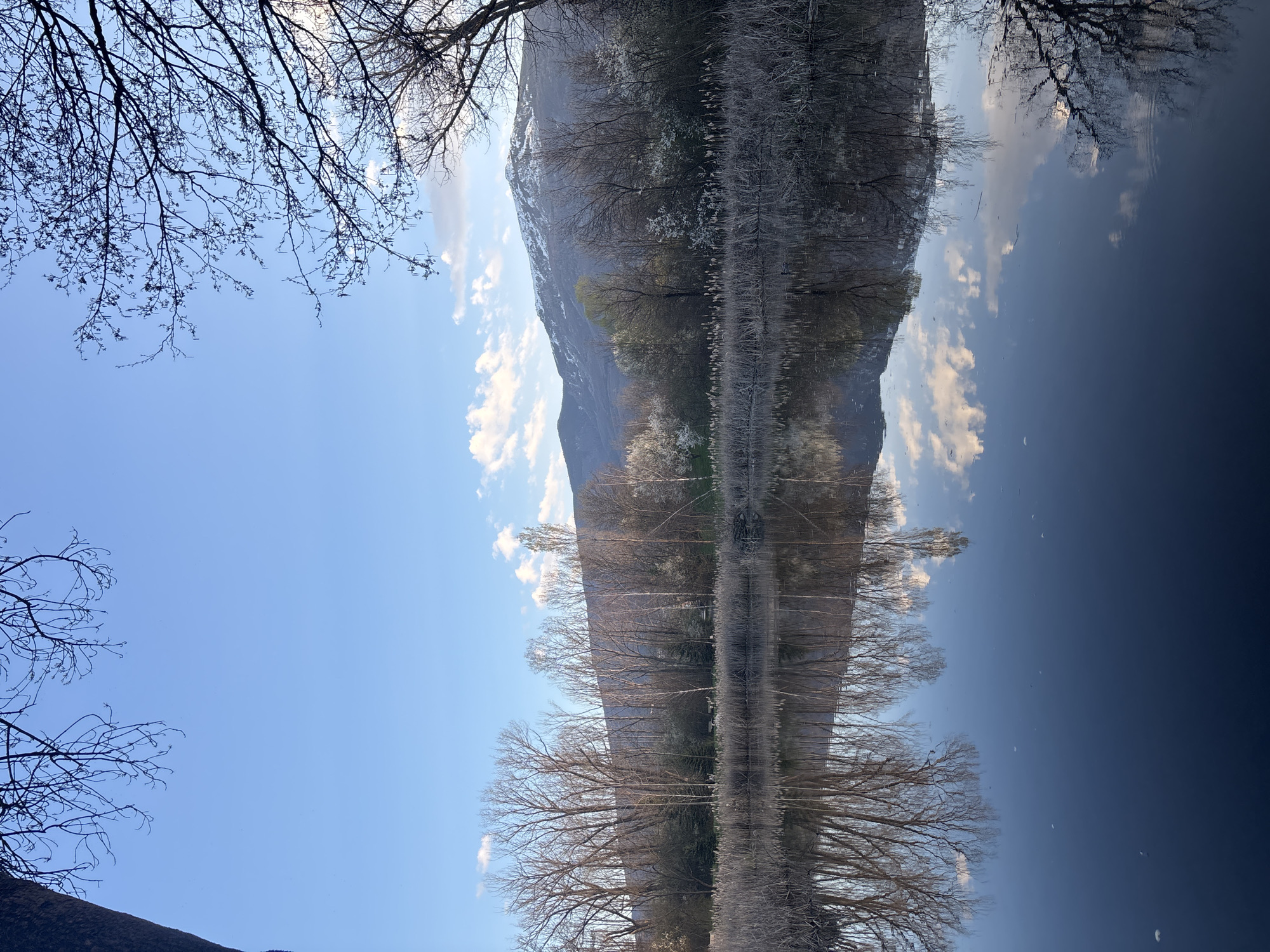 The image shows a reflection of a mountain range and trees in a body of water under a partly cloudy sky. Bare tree branches are visible at the top left and bottom, framing the scene. The reflection creates a symmetrical effect, with the mountain appearing upside down in the water. The water surface shows subtle ripples and variations in color, suggesting calmness. There is no indication that this is Sofia, Bulgaria.
