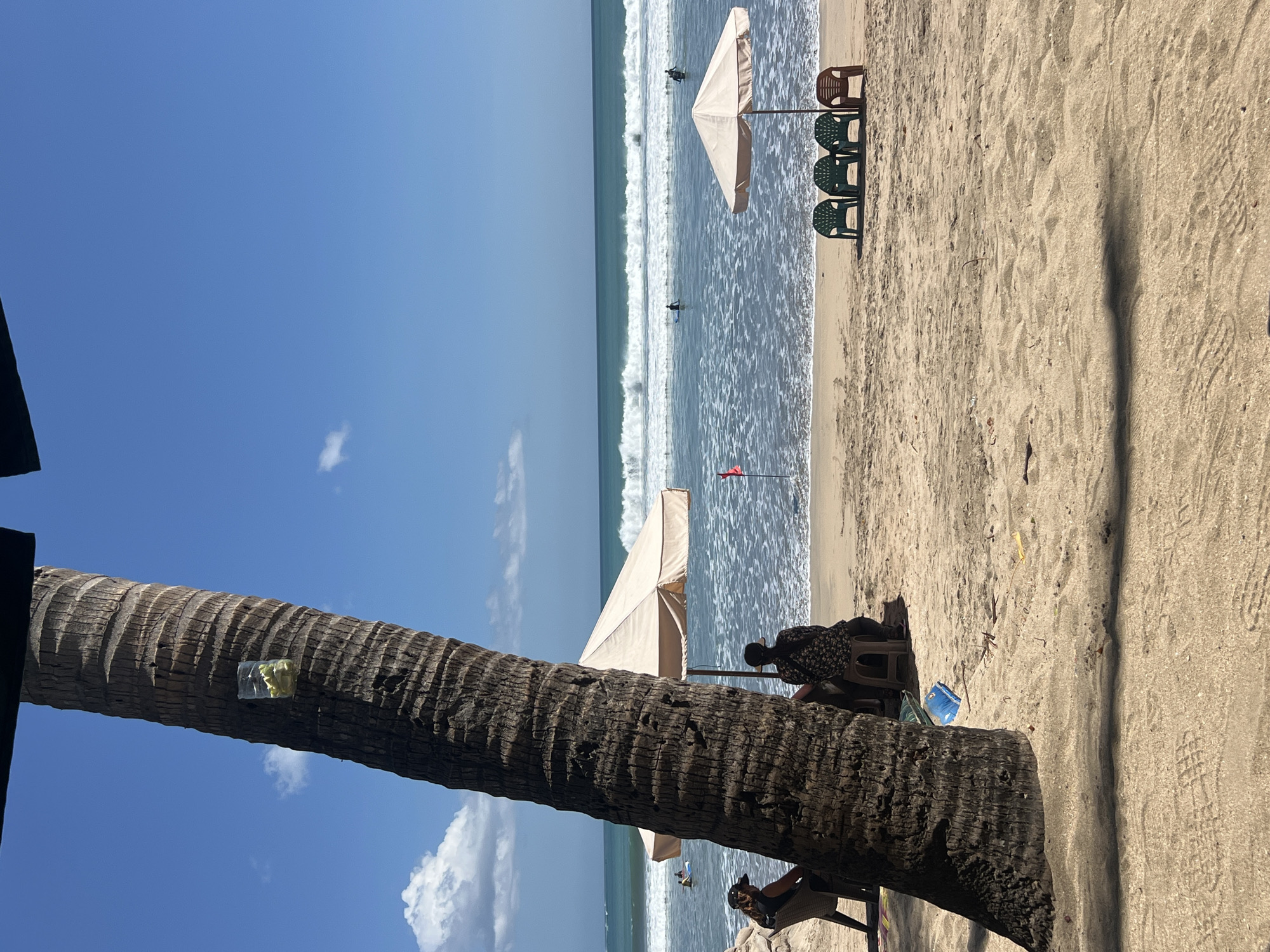 The image depicts a tropical beach scene in Kuta, Indonesia, on a sunny day with a clear blue sky and scattered clouds. In the foreground, a large palm tree trunk dominates the left side of the frame, with a plastic bottle containing some yellow objects tied to it. The sandy beach stretches towards the ocean, where waves are breaking.
Several people are visible. On the left, two individuals are seated on chairs, partially obscured by the palm tree. One person is wearing a dark top and a baseball cap, and the other is wearing a patterned top. Further back on the beach, under a beige umbrella, a person is seated on a stool. In the ocean, several individuals are present, some appearing to be surfers or swimmers. A red flag is planted in the sand to the right of the umbrella. In the distance, more waves are rolling in, and the horizon is visible. To the right of the beige umbrella, a set of four plastic chairs (three green, one brown) are arranged on the sand. The sand itself shows textures from foot imprints and debris.