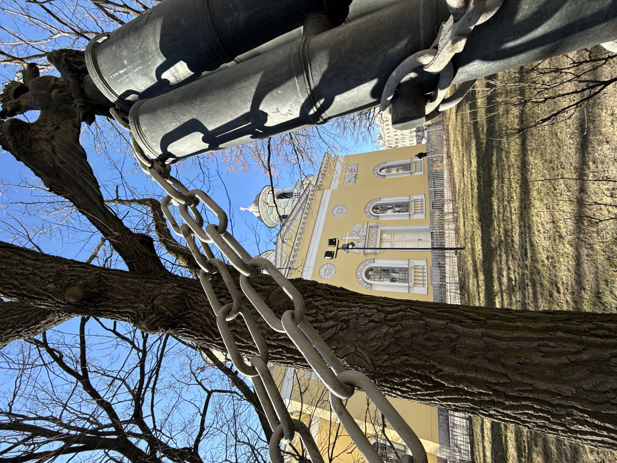 The image depicts a low-angle shot in Saint Petersburg, Russia. Foreground elements include a thick tree trunk and branches, with a heavy metal chain draped nearby. Above these are two dark, cylindrical objects, appearing to be cannons, secured by the same chain. In the background stands a yellow building with white architectural details, including arched windows and a dome. A patch of grassy terrain, marked with the shadows of trees, stretches behind the building. The sky is visible through the tree branches and is a clear, light blue.