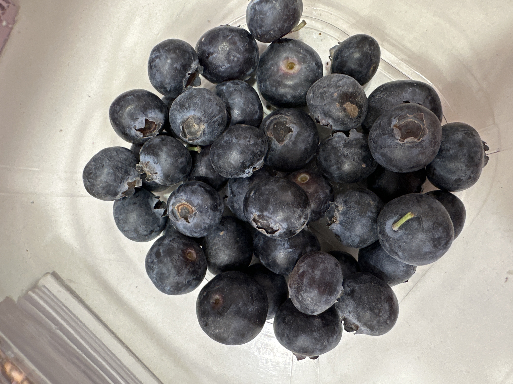 A top-down close-up shot shows a pile of blueberries inside a clear plastic container. The blueberries are round and mostly dark blue with a dusty appearance. Some have stem remnants. The container sits on a white surface. It is difficult to determine the exact location in Sofia, Bulgaria without additional information.