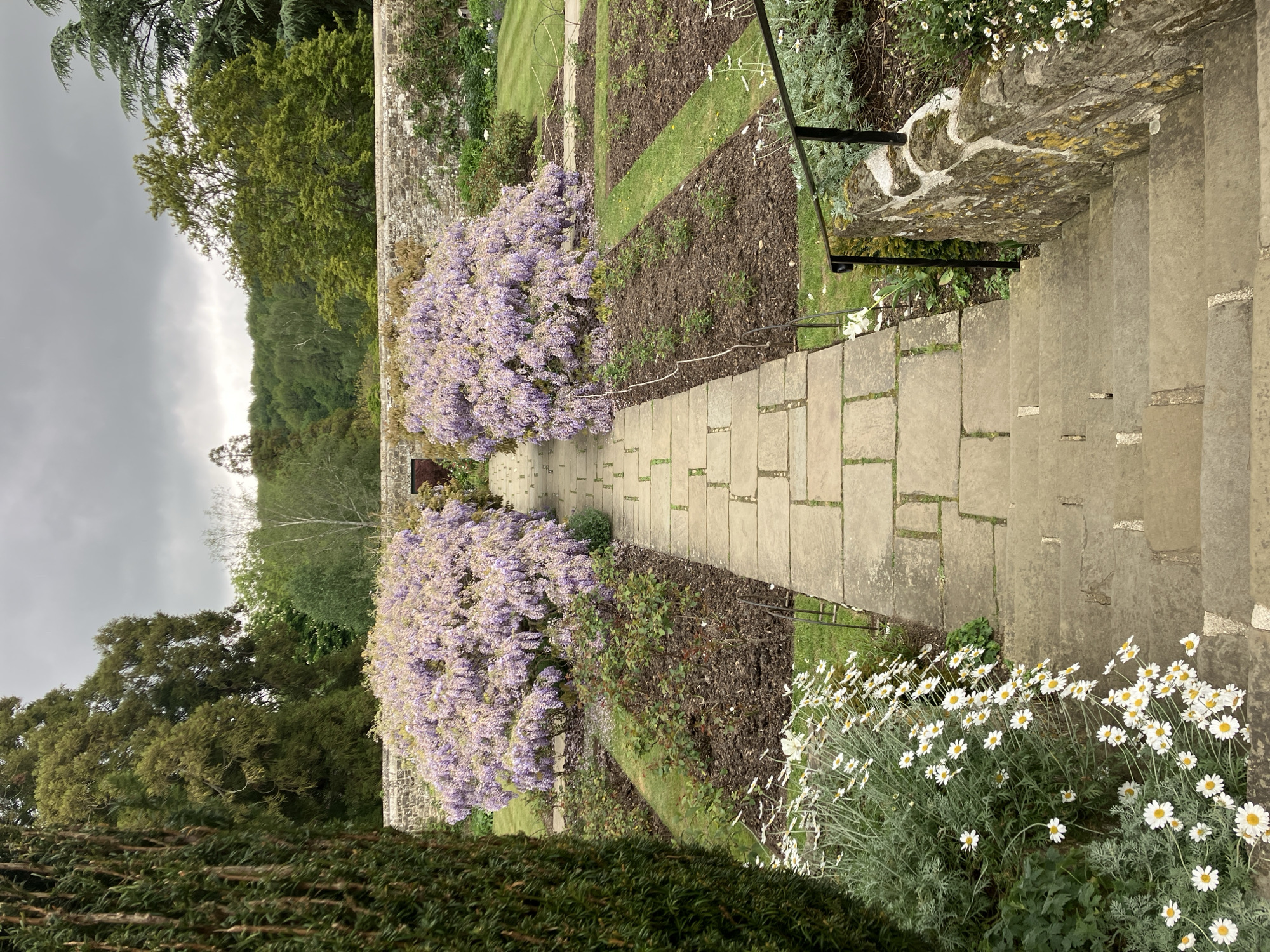This image shows a pathway leading down a set of stone steps in a garden setting. The pathway is made of rectangular stone slabs, and is bordered by garden beds with flowering plants, including purple wisteria. The steps lead down from a stone wall with a metal railing. Beyond the garden is a landscape of trees and a cloudy sky. The image appears to be taken from a slightly elevated position. I cannot determine from the image if the location is Sevenoaks, United Kingdom.