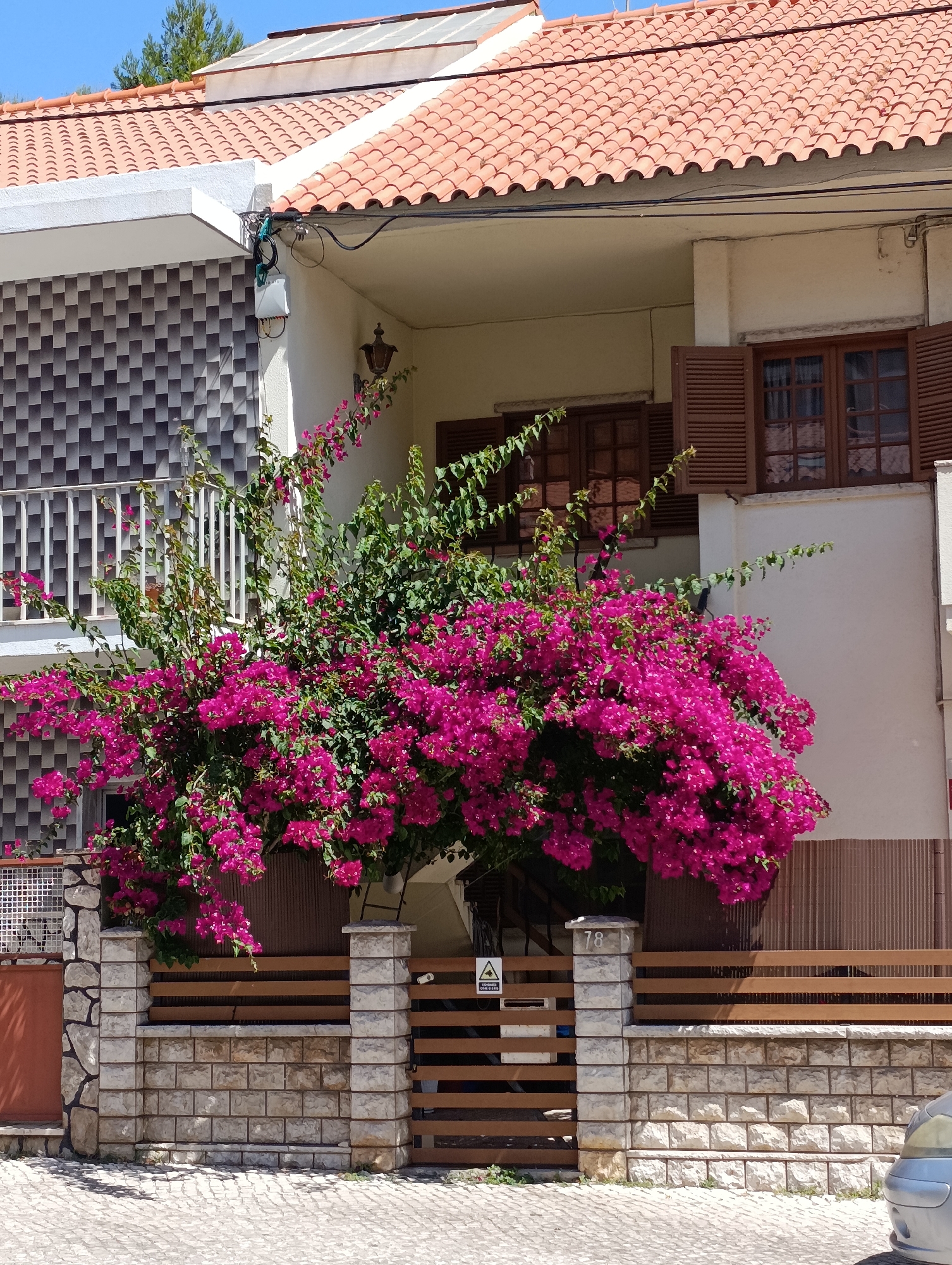 The image shows a bright, sunny outdoor scene with a focus on a residential building and its front yard. In the foreground, a low stone and wood fence borders a paved area. A large bush or tree with vibrant magenta bougainvillea flowers dominates the center of the frame, obscuring much of the lower part of the building. Behind the flowers, a wooden fence with horizontal slats is visible. To the left of the bougainvillea, a white metal railing extends upwards, part of a balcony or porch. The building itself has a tiled orange roof and white walls. There are two wooden-shuttered windows on the upper floor. A white electronic device with wires is attached to the wall near the roofline. The scene appears to be in a residential area.