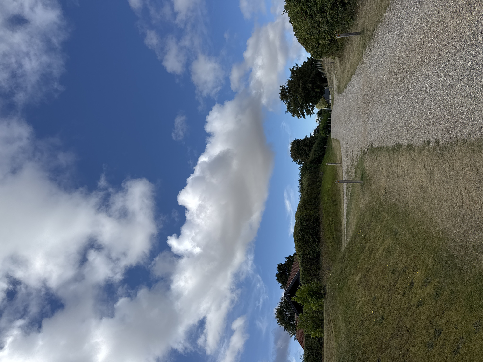 The image depicts a gravel pathway leading uphill through a grassy landscape. The pathway is flanked by dry grass and a hedge on the left, and a dense green bush on the right. In the background, a house with a red roof is visible behind a tall hedge, with trees around it. The sky is a vibrant blue, dotted with fluffy white clouds. The scene appears to be in a rural or suburban area, possibly a park or residential area in Sydals, Denmark. There are no people or animals present in the image. The overall impression is one of a serene, sunny day.