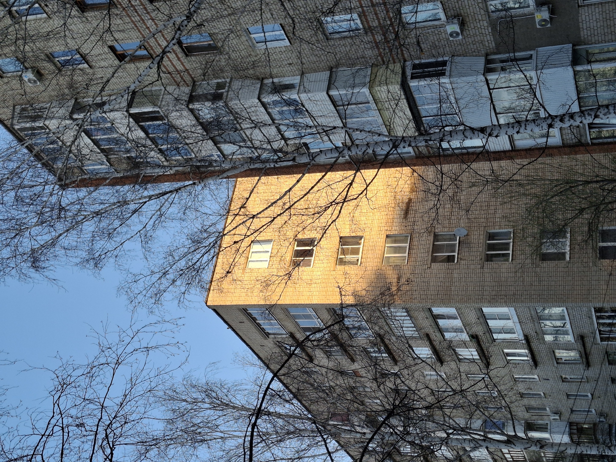 The image displays an upward-looking view of urban architecture intertwined with the skeletal branches of bare trees against a clear, bright blue sky. Two multi-story brick buildings dominate the scene. One building, appearing on the right side when viewed upright, is constructed of light brown or beige brick and is brightly lit by direct sunlight, creating a strong contrast with shadowed areas. The other building, primarily on the left, is made of grey brick and appears less directly illuminated, possibly in shadow. This grey building features numerous windows, reflecting the sky and surrounding elements, and multiple air conditioning units are visible on its exterior. A satellite dish is also present on the grey building.
Numerous bare tree branches, likely from deciduous trees, crisscross the foreground and midground, partially obscuring the buildings and sky. Their intricate patterns add an organic contrast to the rectilinear architecture. Some branches show small white patches, possibly remnants of snow or ice, suggesting a winter or early spring setting. The clear, vibrant blue sky indicates a sunny day, with the strong, directional light on the beige building suggesting either morning or afternoon. The architectural style appears consistent with buildings found in post-Soviet cities like Chaikovsky, Russia. No people or explicit text are visible in the image.
