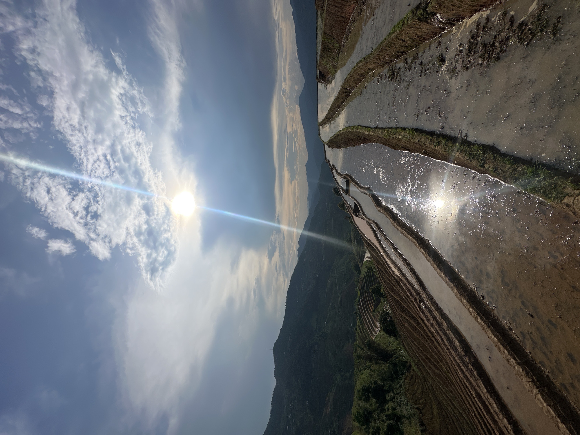 The image presents a panoramic view of an expansive landscape dominated by meticulously crafted agricultural terraces, likely rice paddies, under a bright, sunny sky. The scene is viewed from an elevated perspective, showcasing multiple tiers of water-filled fields that follow the natural contours of the mountainous terrain.
The terraced paddies, filled with still, muddy water, occupy the right side of the frame, extending into the midground. The water beautifully reflects the brilliant sunlight and the clear blue sky, creating sparkling highlights across their surfaces. A powerful sun, radiant and partially veiled by light clouds, is positioned in the upper left portion of the sky, emitting a distinct lens flare that stretches across the image. The sky is a mix of clear blue and scattered, wispy white clouds, indicating fair weather conditions.
In the background, undulating mountains covered in dense green vegetation rise majestically, their distant peaks appearing slightly hazy. The landscape demonstrates significant human modification for agriculture, typical of terraced farming methods. The fields appear to be in a state of preparation, having been flooded with water, likely prior to rice planting or during an early stage of cultivation. No human figures, animals, or man-made structures are prominently visible within the fields, highlighting the vastness and serenity of the cultivated environment. The time of day appears to be midday or early afternoon due to the high position and intensity of the sun. The scene is consistent with the terraced landscapes found in regions like Lao Chai, Vietnam. No visible text is present in the image.