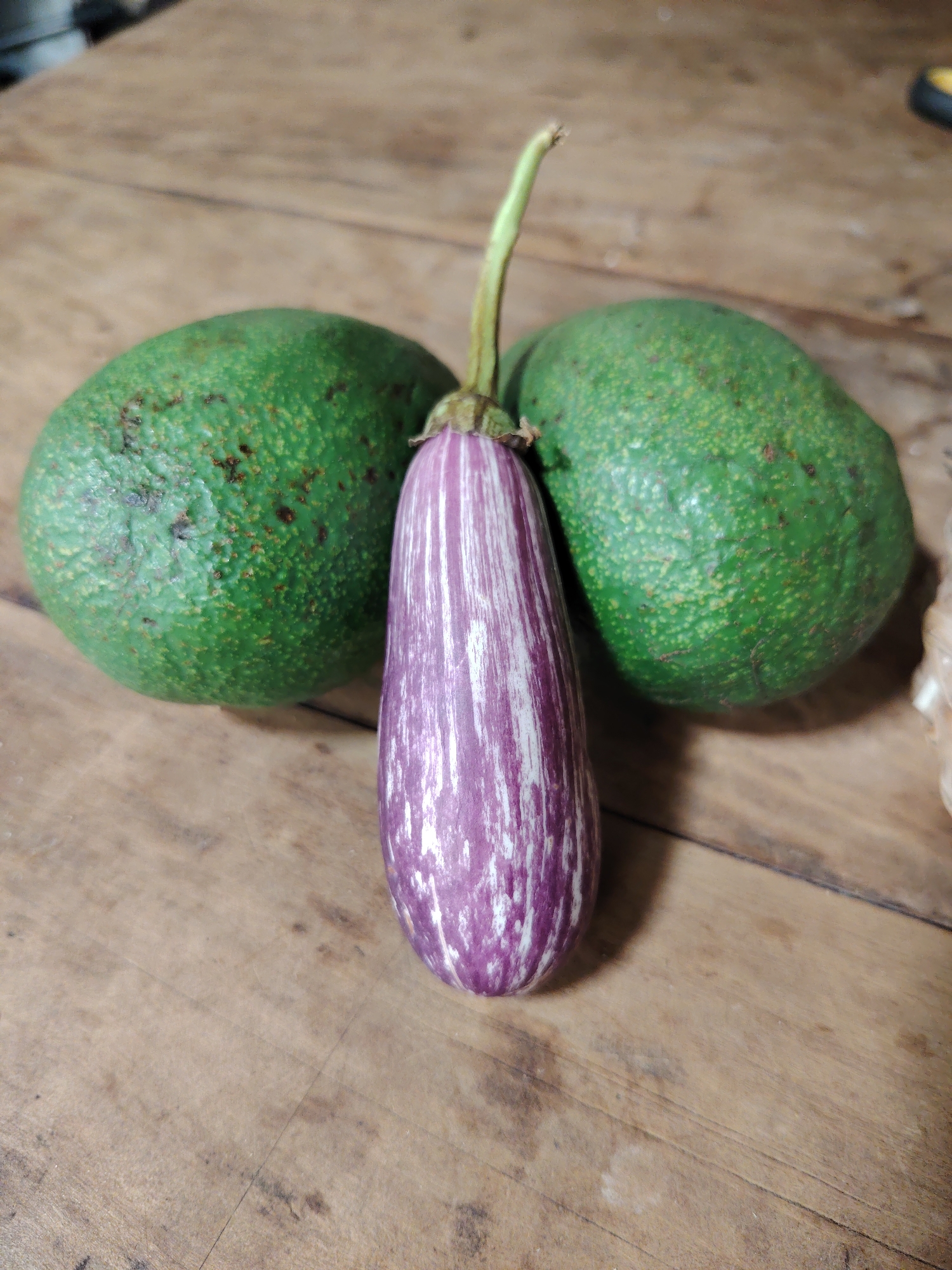 A close-up, eye-level shot captures a still life arrangement of produce on a wooden surface. In the center, a slender, elongated eggplant stands vertically, characterized by its vibrant purple skin adorned with distinctive white stripes. A light green stem extends from its top. Flanking the eggplant, one on each side, are two unpeeled avocados. These avocados are a deep green color with a textured, slightly bumpy skin. The three items are positioned symmetrically, with the eggplant acting as a central element. The background consists of a rustic wooden surface, likely a table, displaying visible wood grain and some scattered dark marks or blemishes, suggesting an aged or well-used piece of furniture. The lighting is soft and even, highlighting the textures and colors of the fruits and vegetables. There is no discernible activity or visible text in the image.