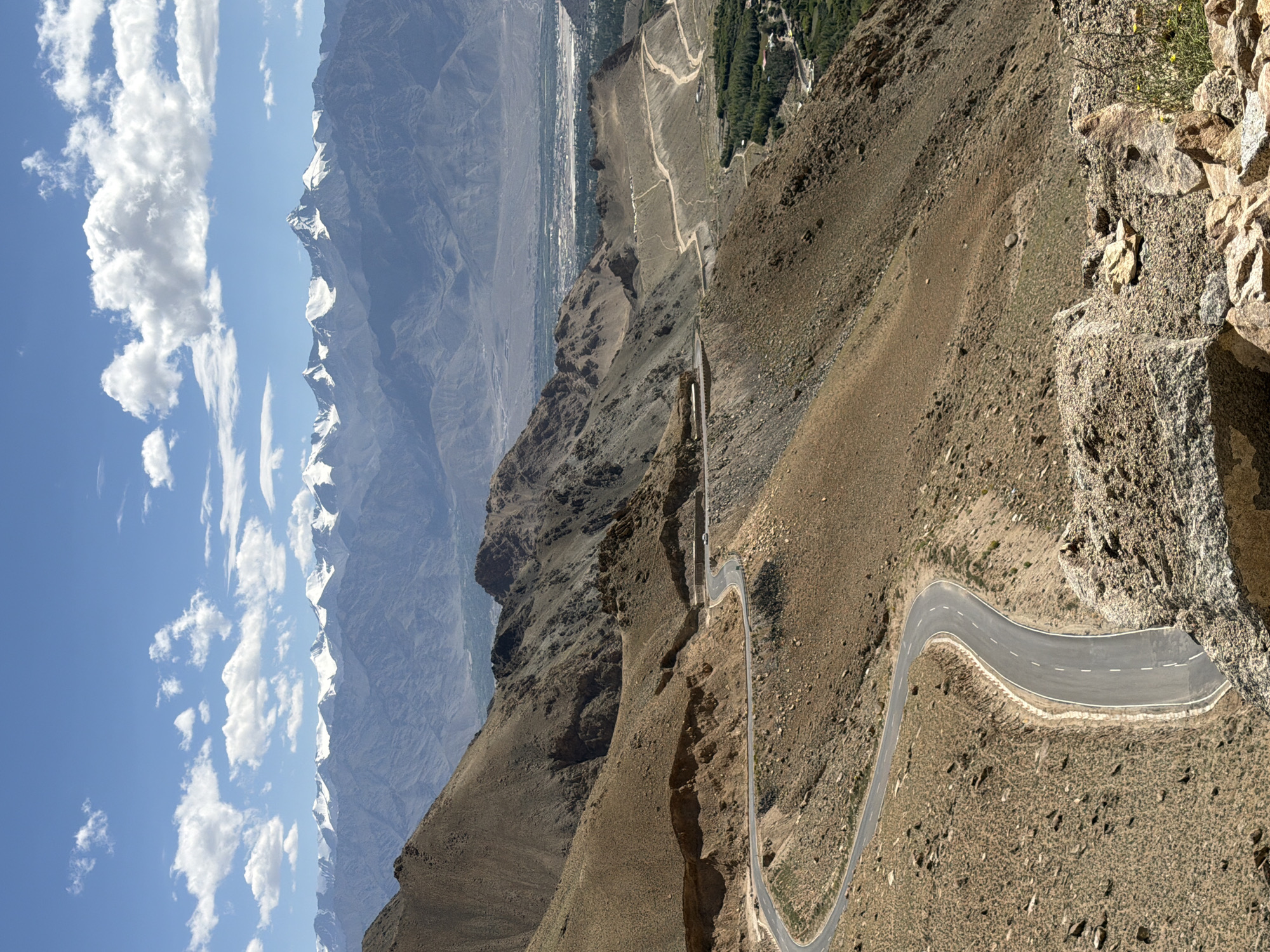 The image depicts a scenic mountainous landscape, likely near the city of Leh, India, given the geographical context of similar imagery. The foreground is dominated by rugged, barren hillsides in shades of brown and tan, sparsely covered with dry vegetation and rocks. A winding asphalt road with white lane markings snakes its way down the steep slopes, showcasing sharp curves and gradients. In the mid-ground, the terrain transitions to a valley, where a small settlement or town can be seen, characterized by buildings and a patch of green vegetation, possibly agricultural fields or trees. Further in the background, a majestic range of snow-capped mountains rises against a clear blue sky dotted with scattered white clouds. The lighting suggests it is daytime, with sunlight illuminating the scene and casting shadows that accentuate the mountainous topography. There are no visible people or animals in the image. The overall impression is one of a remote, high-altitude, and rugged natural environment with a human-made road cutting through it.