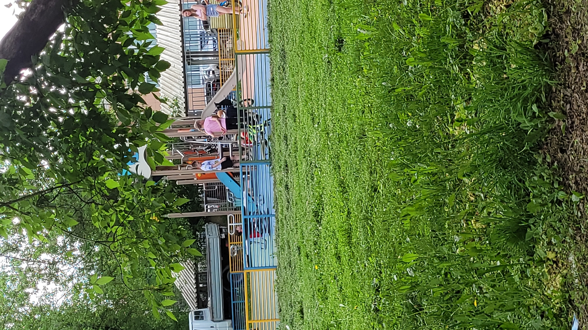 The image captures a playground scene in an urban environment. A playground structure stands to the left, featuring slides, climbing bars, and various colorful barriers, with children playing on it. To the left of the playground is a van and a tree with dense green foliage. The foreground is dominated by a patch of green grass. In the background, an open area and other structures can be seen.