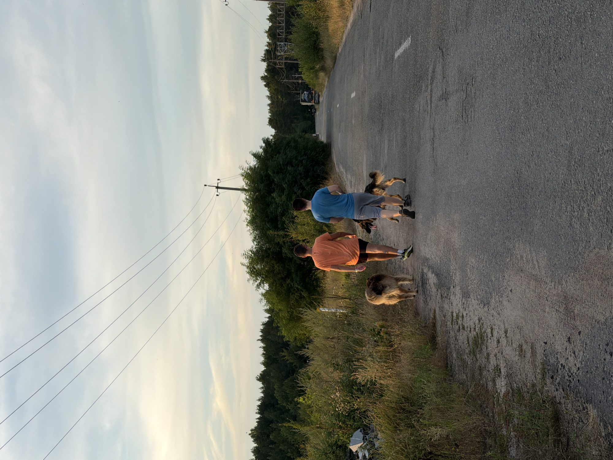 Two men and two dogs are walking away from the camera on an asphalt road bordered by dry grass and vegetation. The man on the left wears an orange t-shirt and black shorts. The man on the right wears a blue t-shirt and gray shorts. Both men are wearing athletic shoes. The dogs, a larger shaggy brown dog and a German Shepherd, are leashed. Power lines stretch across the sky overhead. In the distance, trees line the horizon, and a truck is visible on the road. The scene appears to be on the outskirts of Mali Kosharyshcha, Ukraine, with a backdrop of rural landscape and infrastructure.