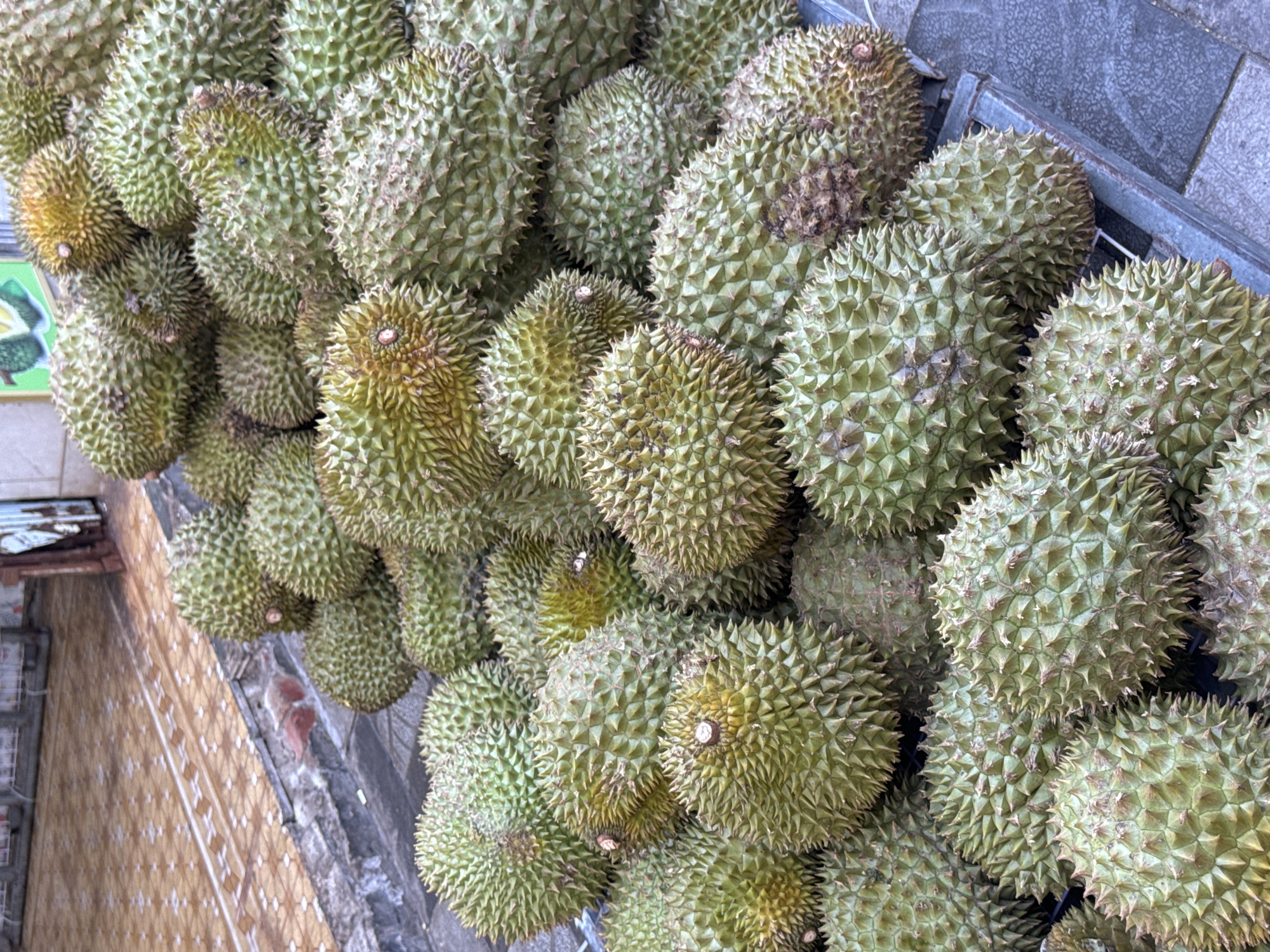 The image shows a large pile of durians, a spiky tropical fruit, displayed outdoors. The durians are predominantly green with some yellow and brown hues, indicating ripeness. They are tightly packed together, creating a textured surface. The background is blurred but appears to be a marketplace or roadside stall in Phan Thiết, Vietnam. Elements of the setting include a grey tiled surface, a metal grate or rack, and some patterned flooring. The lighting suggests it is daytime, possibly sunny. There are no people visible in the frame. The focus is entirely on the abundance of durians, hinting at a commercial setting where they are being sold. The scene is simple and direct, showcasing the fruit itself.