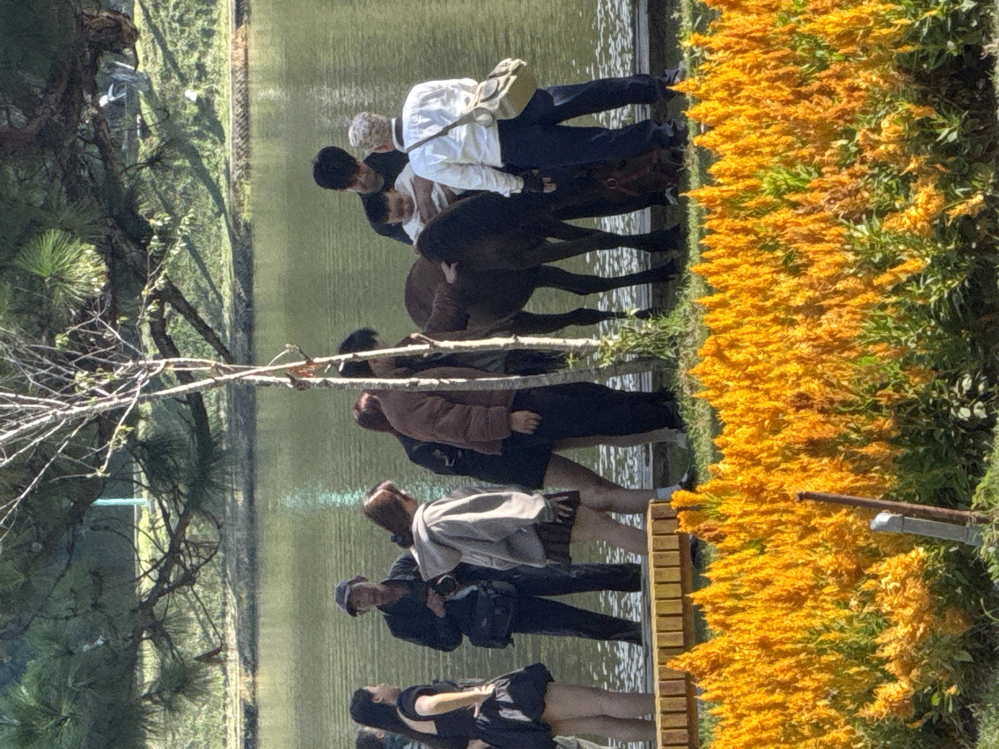 In Da Lat, Vietnam, several individuals are gathered near a body of water, possibly Xuan Huong Lake, given the picturesque setting with a tree and lush foliage. In the foreground, a dense bed of vibrant orange flowers, likely Celosia argentea, dominates the scene, with a metal post visible amongst them.
A group of people stands by the water's edge. To the left, a woman in a black dress is facing away from the camera, her hand on her hip. Next to her, a man wearing a cap and dark clothing holds a camera bag. Further along, a woman in a grey hoodie and a dark skirt is looking down. To her right, another person in a brown jacket is partially visible.
In the center of the image, a dark brown horse is being held. A man in a black shirt is holding a young child, who is seated on the horse's back. A person in a white shirt and dark pants, wearing a crossbody bag, stands beside them, appearing to interact with the horse or the child. The water reflects the surrounding greenery and sky. The presence of people and a horse in this scenic environment suggests a tourist attraction or a recreational area in Da Lat.