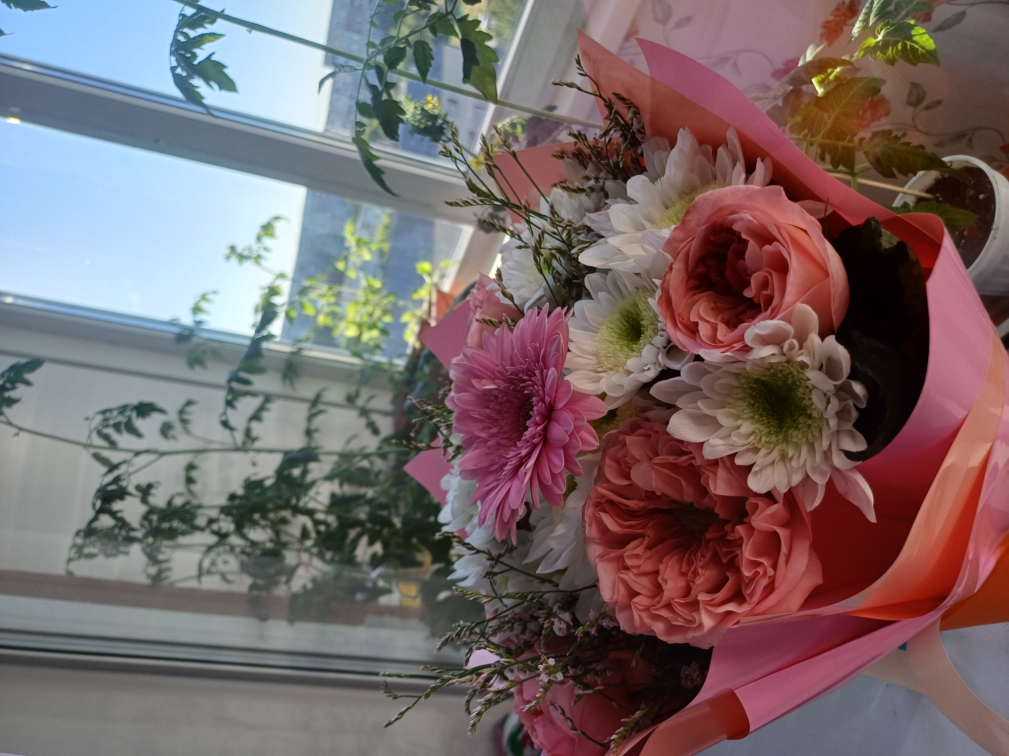 This is a close-up, angled shot of a bouquet of flowers, primarily featuring pink and white roses and chrysanthemums. The bouquet is wrapped in pink and orange paper. The flowers are detailed and appear fresh. In the background, a window is visible with a view of green plants and what appears to be buildings, suggesting an indoor setting with an outdoor view. The light suggests it could be daytime. The overall mood is one of beauty and natural arrangement. There is no visible text in the image.