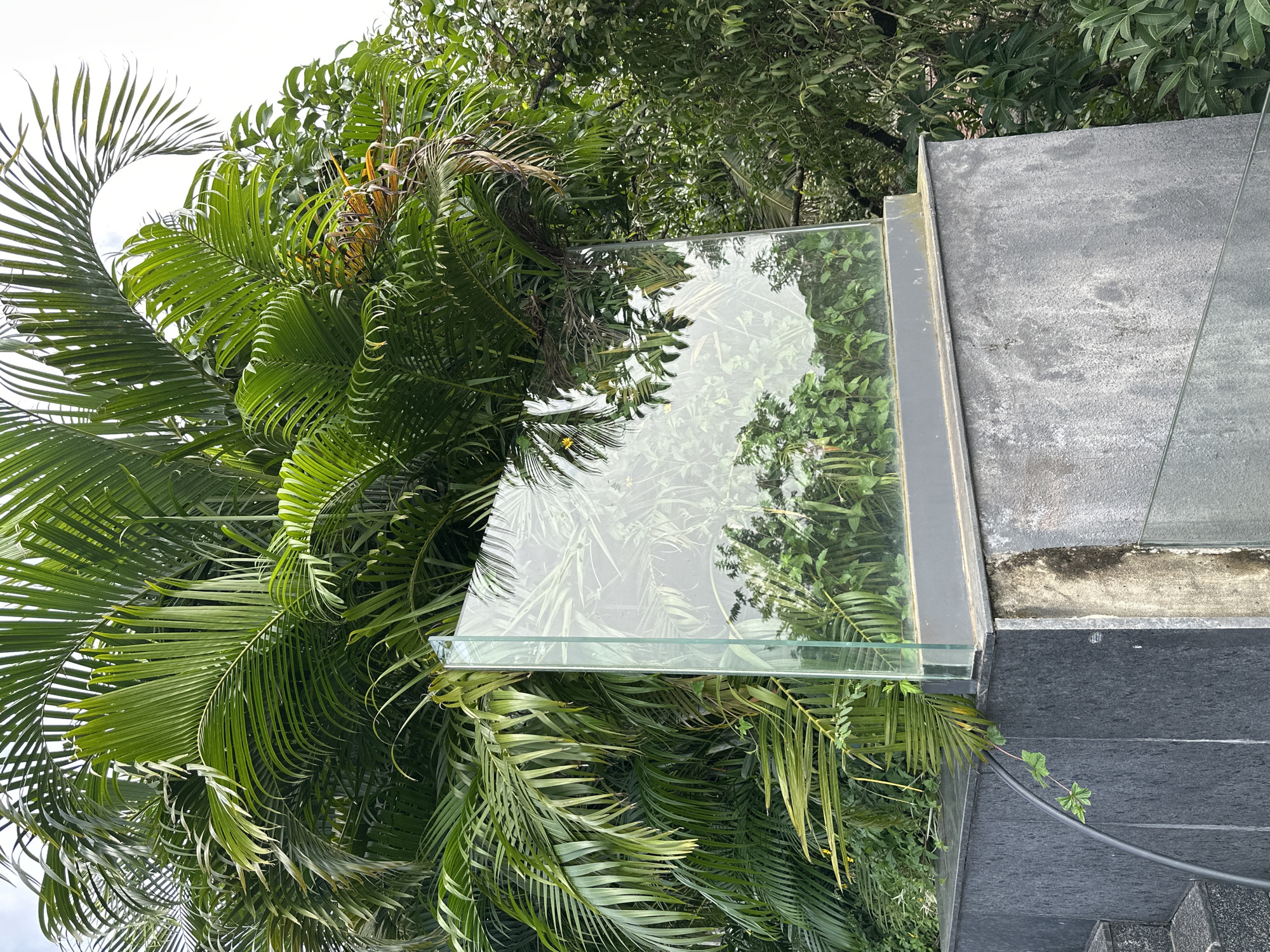 The image shows a large pane of glass set on a stone structure surrounded by lush green foliage, likely palm trees and other tropical plants. The glass reflects the surrounding greenery and the sky, creating a mirror effect. The stone structure appears to be part of an outdoor setting, possibly a garden or a patio. The area is well-lit, suggesting it is daytime. The scene is devoid of any people or animals. The overall impression is one of a tranquil, natural environment enhanced by a modern architectural element. The location is identified as Vagator, India.