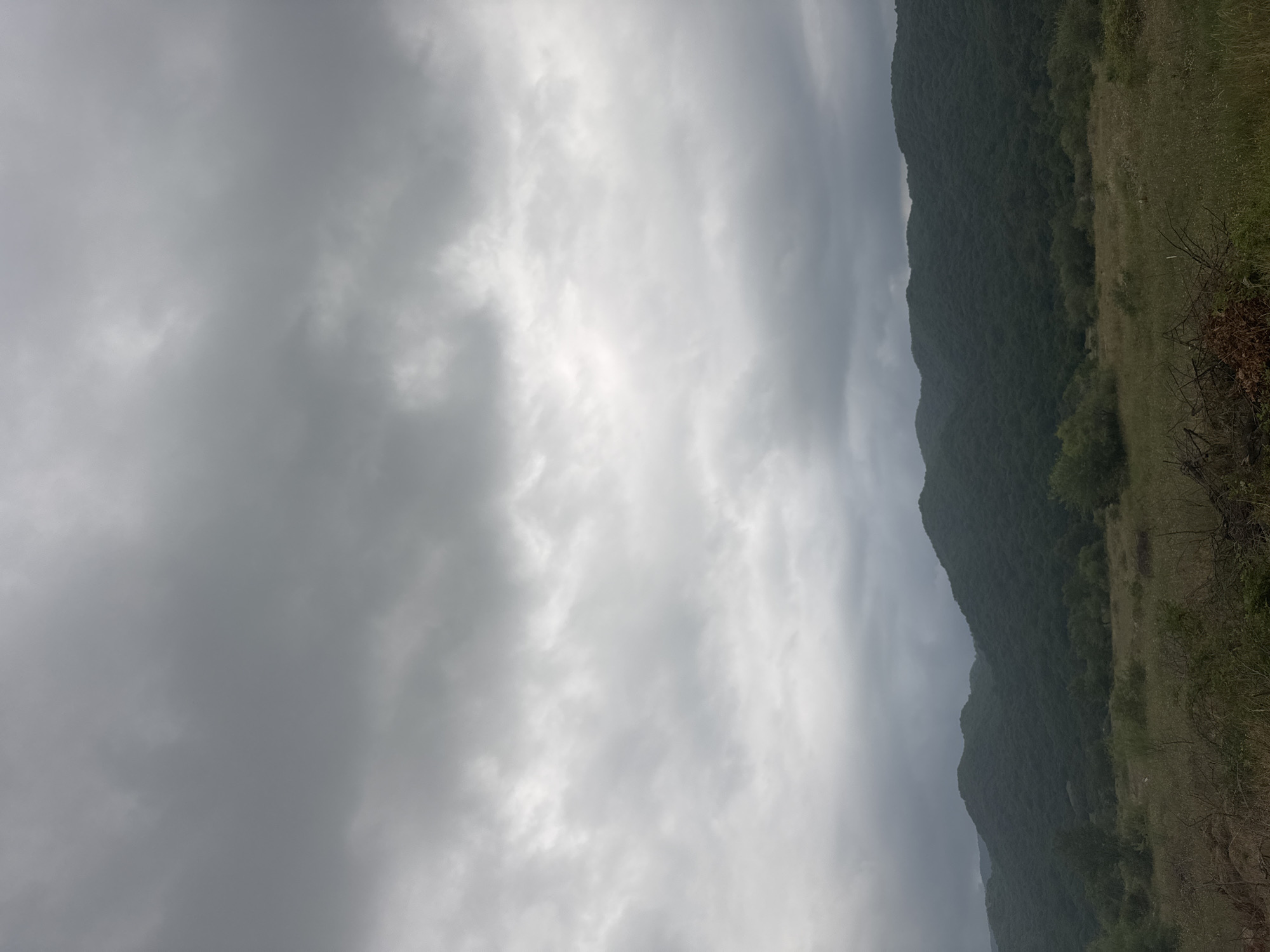 The image depicts a vast, cloudy sky over a landscape of rolling, forested hills. The foreground consists of dry grass and scattered branches. The sky is filled with a dense layer of grey clouds, with some lighter patches suggesting diffused sunlight. The hills are covered in dark green foliage, appearing lush and dense. There are no people, animals, or man-made structures visible in the scene. The environment suggests a rural, natural setting, likely in Aragvispiri, Georgia, given the context provided.