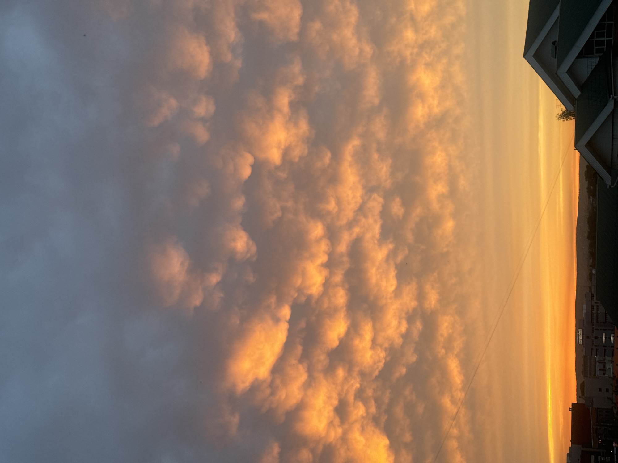 The image depicts a sky filled with mammatus clouds illuminated by the warm hues of sunset. The clouds are a vibrant orange and yellow, with darker grey clouds forming the upper portion of the sky. In the lower portion of the image, the silhouettes of buildings and rooftops are visible against the bright horizon. There are no people or animals clearly visible in the image. The scene suggests an urban environment, possibly Irkutsk, Russia, given the context, experiencing a dramatic sunset.