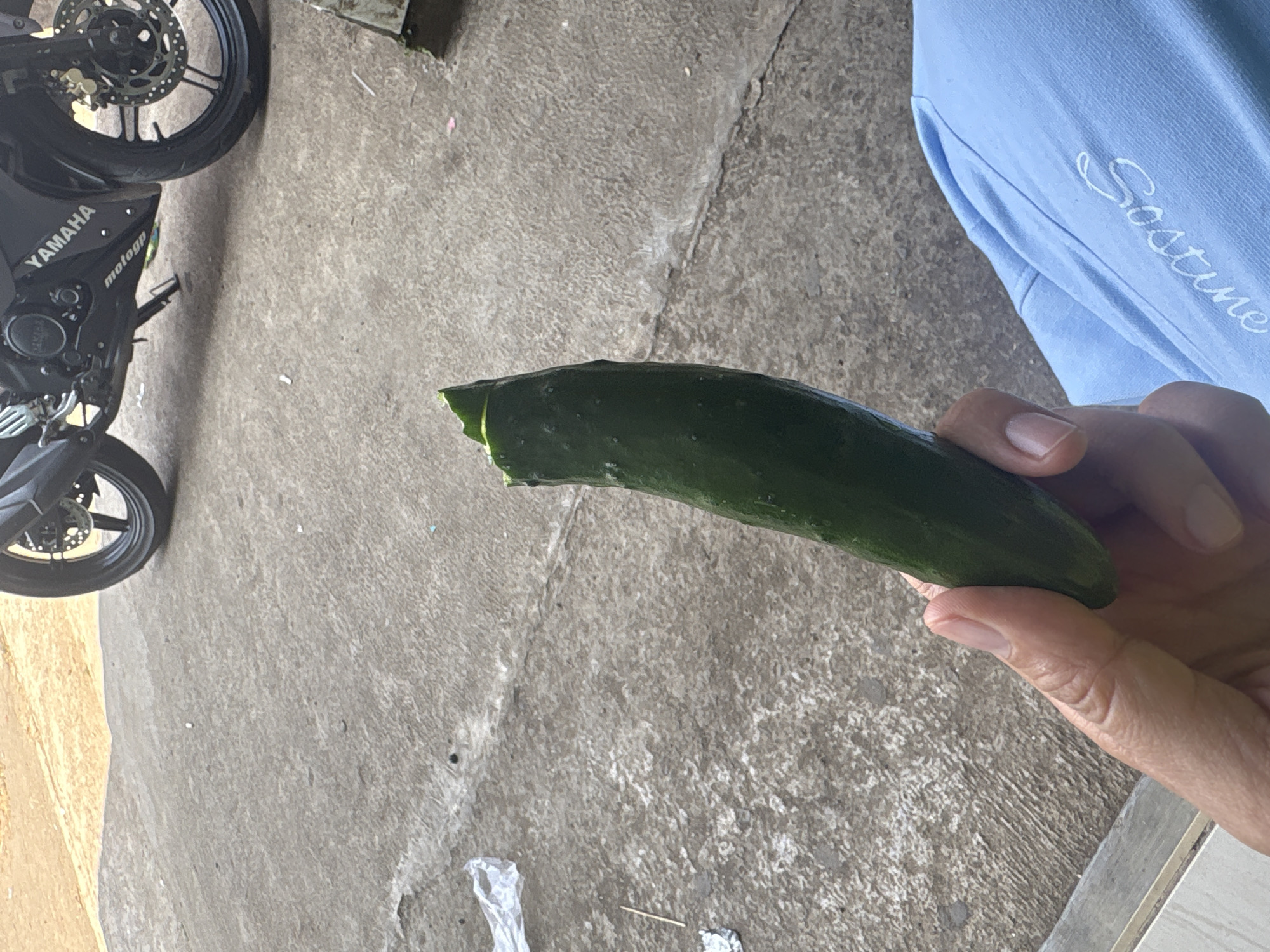 A close-up, eye-level shot shows a person's hand holding a partially eaten cucumber. The cucumber is dark green and appears to have been bitten from the top. The hand is tanned and has short fingernails. The background consists of a concrete ground with a Yamaha motorcycle parked in the upper right corner. A thin, tan dirt path is visible in the upper left. The overall environment suggests an outdoor setting, possibly a roadside or parking area. The scene does not provide any specific indicators of Pasirlangu, Indonesia.