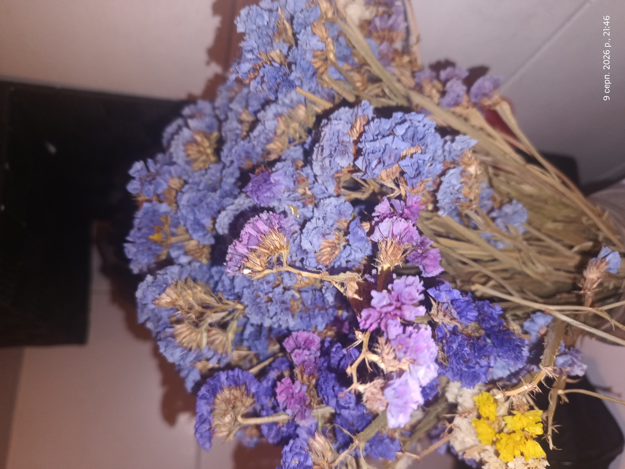 A close-up shot captures a bouquet of dried flowers, predominantly in shades of blue and purple, with a few yellow blooms visible on the left. The flowers are tightly clustered, with delicate, papery petals. Thin, dry stems form the base of the bouquet. The background is softly blurred, showing a gradient of light and dark tones, suggesting an indoor setting with ambient lighting. A timestamp in the lower right corner reads "9 серп. 2026 р., 21:46". There are no people or animals present, and the focus is entirely on the floral arrangement.