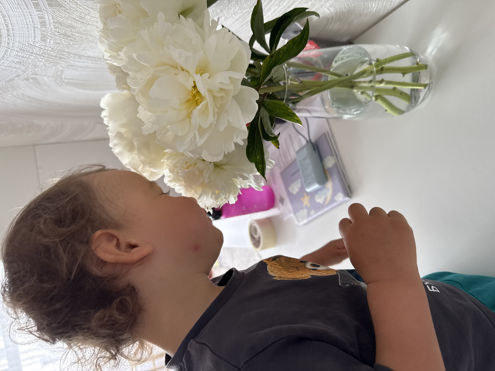 A child with curly hair is positioned beneath a vase of white peonies. The child is wearing a dark gray t-shirt with a bear illustration. The vase is clear glass and contains water. The peonies are arranged in the vase with several green stems and leaves visible. The background includes what appears to be a white table and some other items including tape. The photo's perspective is unusual, as if it was taken from an angle looking up at the child and flowers. Location and city cannot be determined from the image.