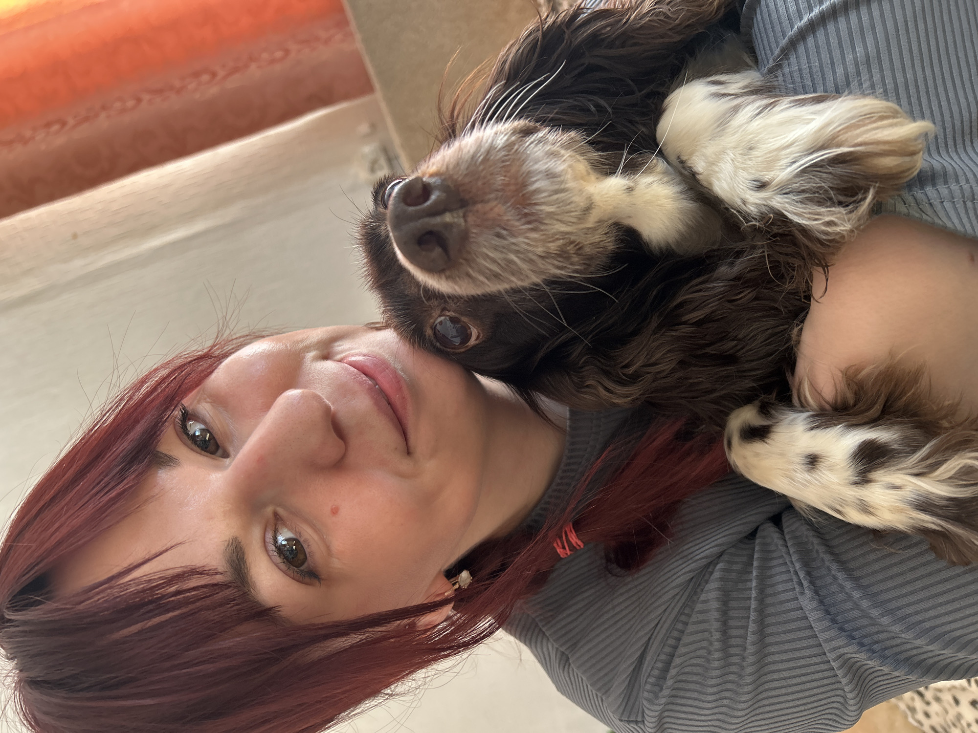 A woman with reddish-brown hair is holding a brown and white Spaniel dog against her shoulder. The dog's head is tilted towards the camera, and it is looking upward. The woman is wearing a gray ribbed shirt. The background is slightly out of focus, with an orange curtain visible. The location cannot be determined.