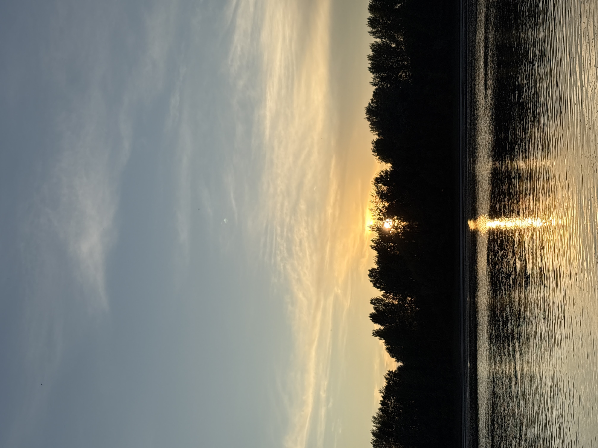 The image depicts a sunset over the Kama River in Chaikovsky, Russia. The sky is a gradient of blues and oranges, with wispy clouds. A silhouette of trees forms a dark line across the horizon. The sun is setting behind the trees, casting a golden reflection on the rippling water. There are no people or animals visible in the image. The scene is tranquil and serene, capturing the natural beauty of the sunset.