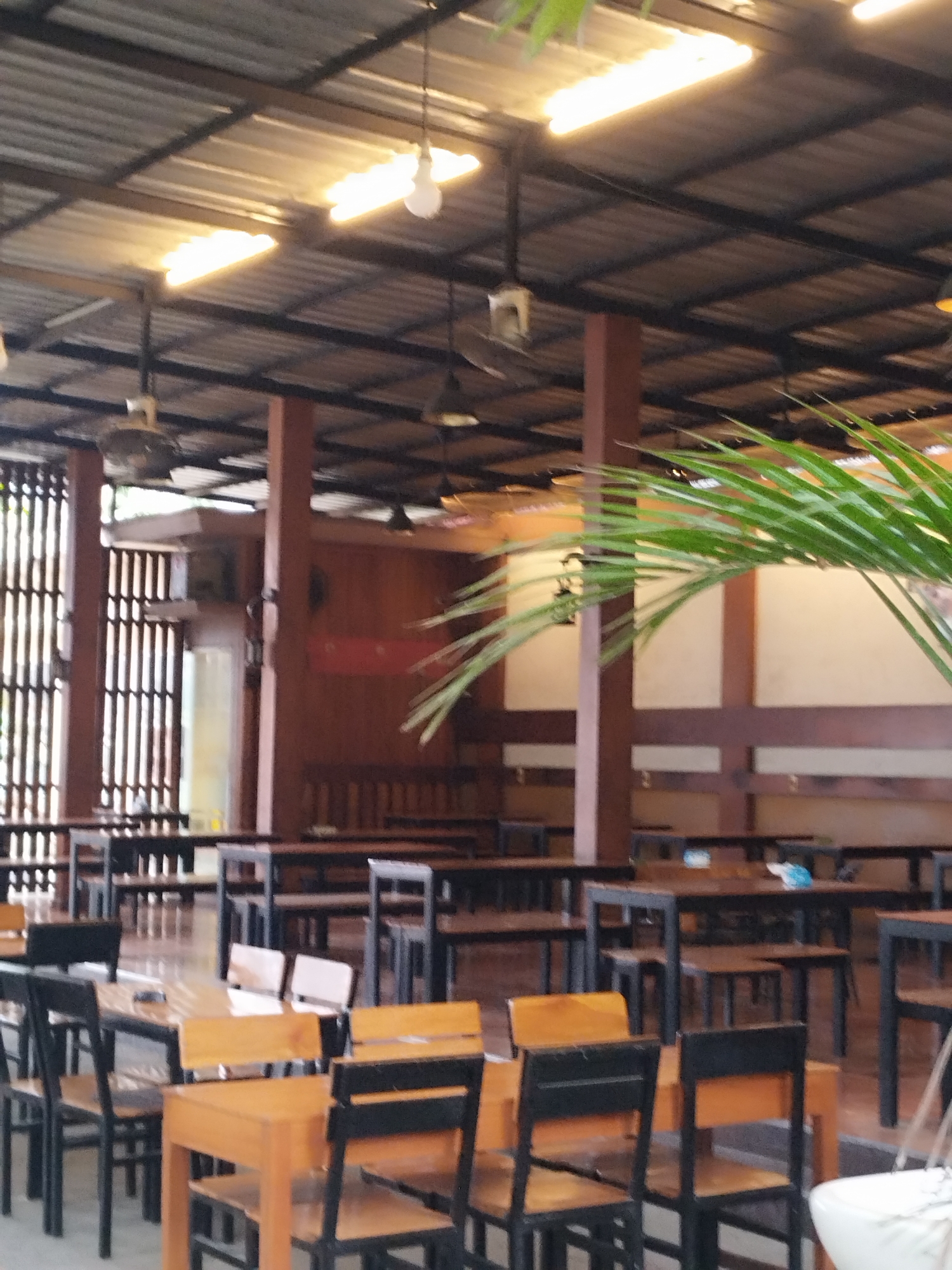 The image depicts an indoor seating area, likely a restaurant or cafe, with a corrugated metal roof supported by dark metal beams and brown wooden pillars. The space is furnished with numerous tables and chairs. Most tables appear to be dark wood with black metal legs, while the chairs have wooden seats and backs with black metal frames. Some chairs are a lighter wood color.
The seating arrangement is organized into rows, suggesting a commercial establishment. The walls are paneled with brown wood, and there are vertical slatted wooden dividers or windows on the left side of the image, allowing some natural light to filter in.
Several ceiling fans are visible, and fluorescent lights are mounted on the roof structure, providing illumination. A large, lush green palm frond is prominently positioned in the foreground, partially obscuring the view of the tables and chairs behind it. The overall atmosphere appears to be casual and open-air, despite being under a roof.
The image does not contain any people or specific actions. The setting is a general view of an unoccupied dining area. The location is described as Payameuneng, Indonesia.