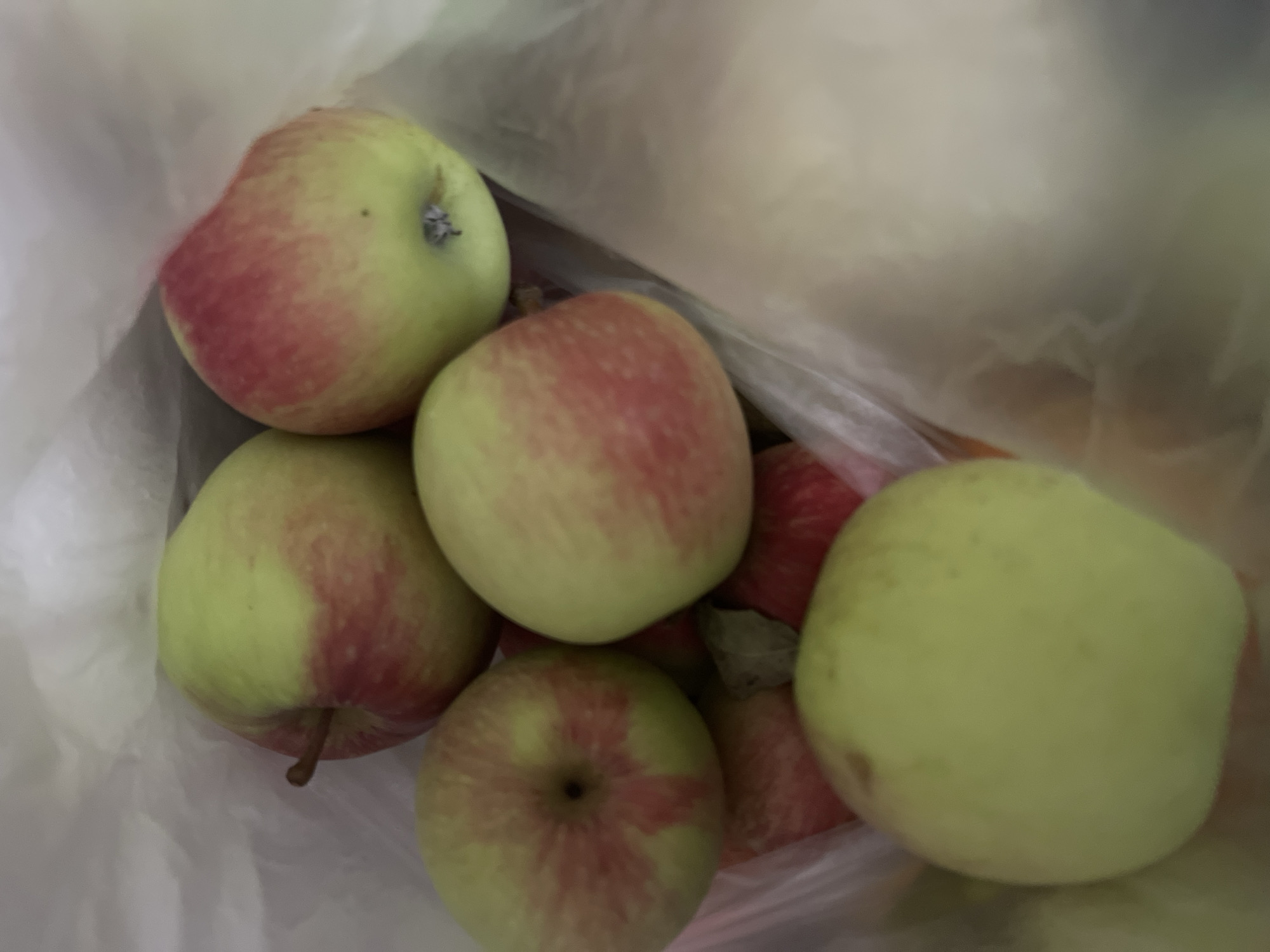 A group of seven apples are shown in a white plastic bag. The apples are a mix of green and red. The bag is partially transparent, and some of the apples are obscured by the bag. The background is out of focus and appears to be a light-colored surface.