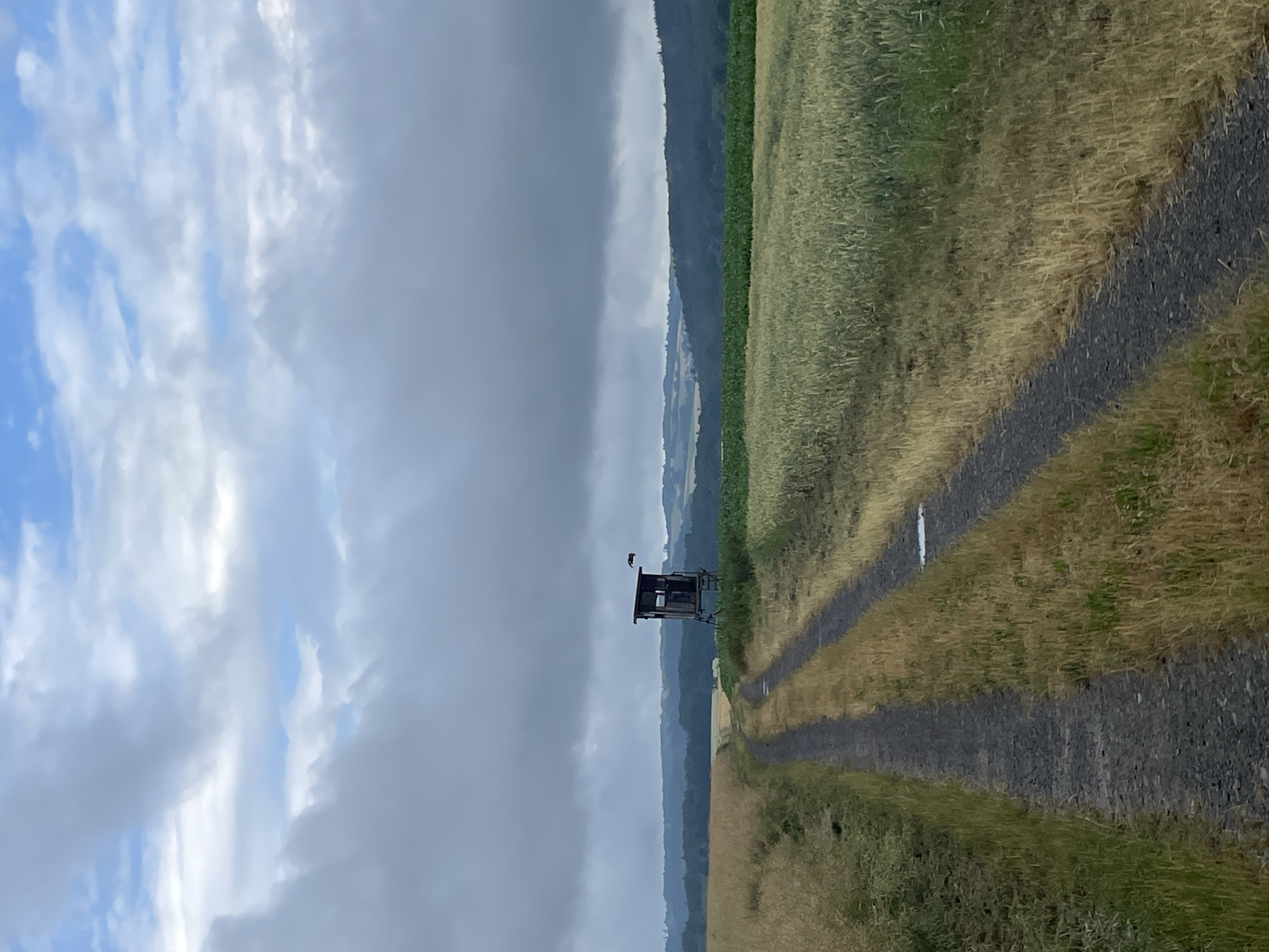 The image depicts a rural landscape in Hattendorf, Germany, under a cloudy sky. A gravel road with two tracks curves through fields. On the right side of the road, a wooden hunting blind stands on stilts, and a bird is in flight near it. The fields are a mix of golden-brown dry grass and green crops. In the distance, rolling hills covered in trees and some scattered buildings form the horizon. The overall atmosphere is overcast and subdued.