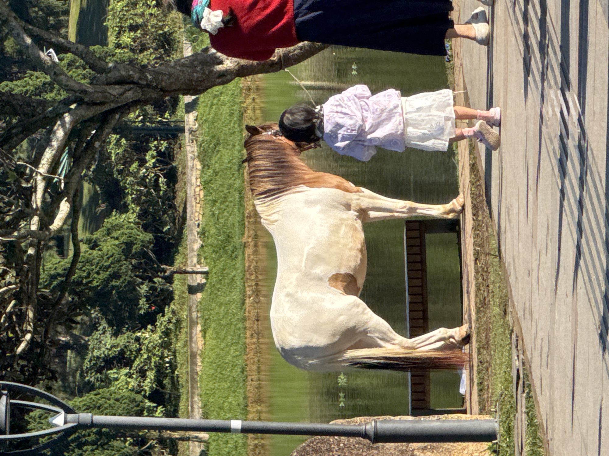 A horse is standing near a body of water. A young girl in a pink jacket and white dress is standing to the right of the horse, facing it. A woman in a red top and blue skirt is standing to the right of the girl, partially obscured by a tree. The scene appears to be a park, possibly near Xuan Huong Lake in Da Lat, Vietnam, with lush greenery and a paved walkway. The lighting suggests it is daytime.