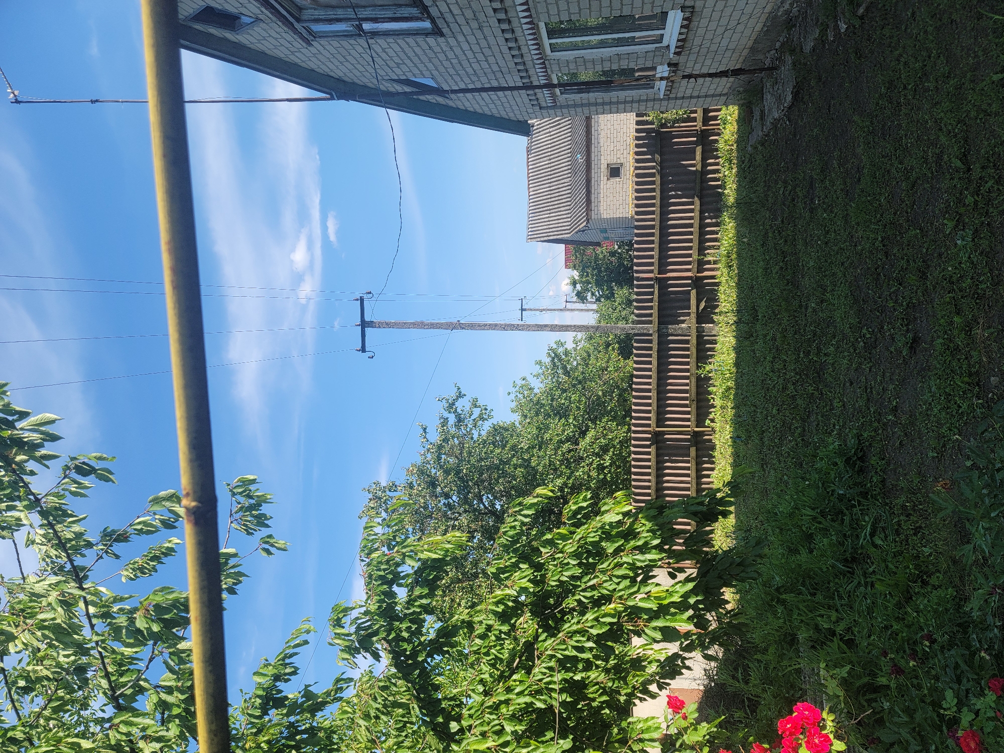 This image depicts a rural scene in Vovkivka, Ukraine, on a clear, sunny day. In the foreground, a large tree with green leaves dominates the left side, with red roses visible at its base. A yellow horizontal pipe crosses the upper portion of the image. Behind the tree, a corrugated metal fence runs horizontally across the middle ground. Beyond the fence, two residential buildings are visible. The building on the right is a brick house with a peaked roof and visible windows. The building further back has a gray corrugated roof and a small window. Power lines and utility poles are prominent in the background, stretching across the sky. The ground in the foreground is covered in grass and some patches of dirt. The overall atmosphere is one of a simple, residential, rural setting. There are no people or animals visible in the image.